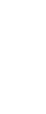 Indigenous Professional Services Inc