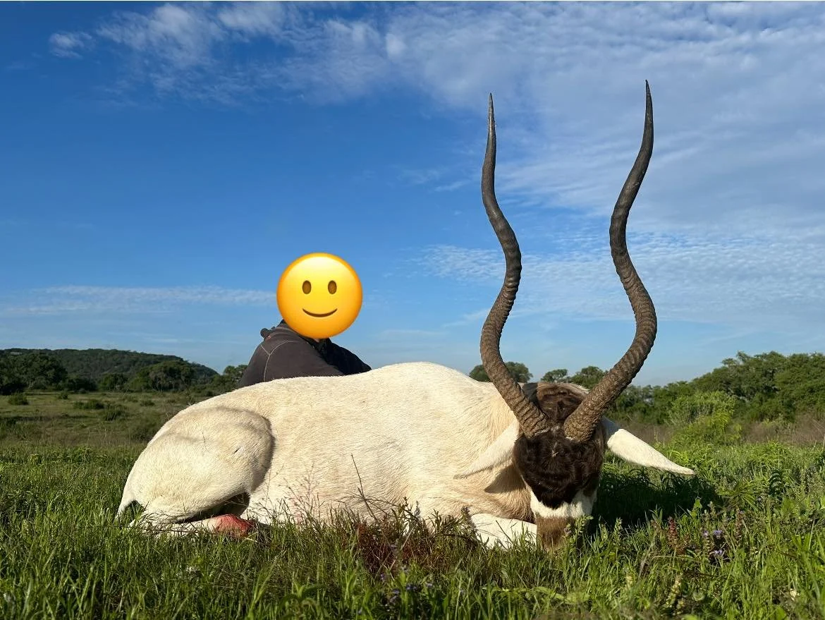 437959791_942307787687399_6828792157291933308_n.jpeg