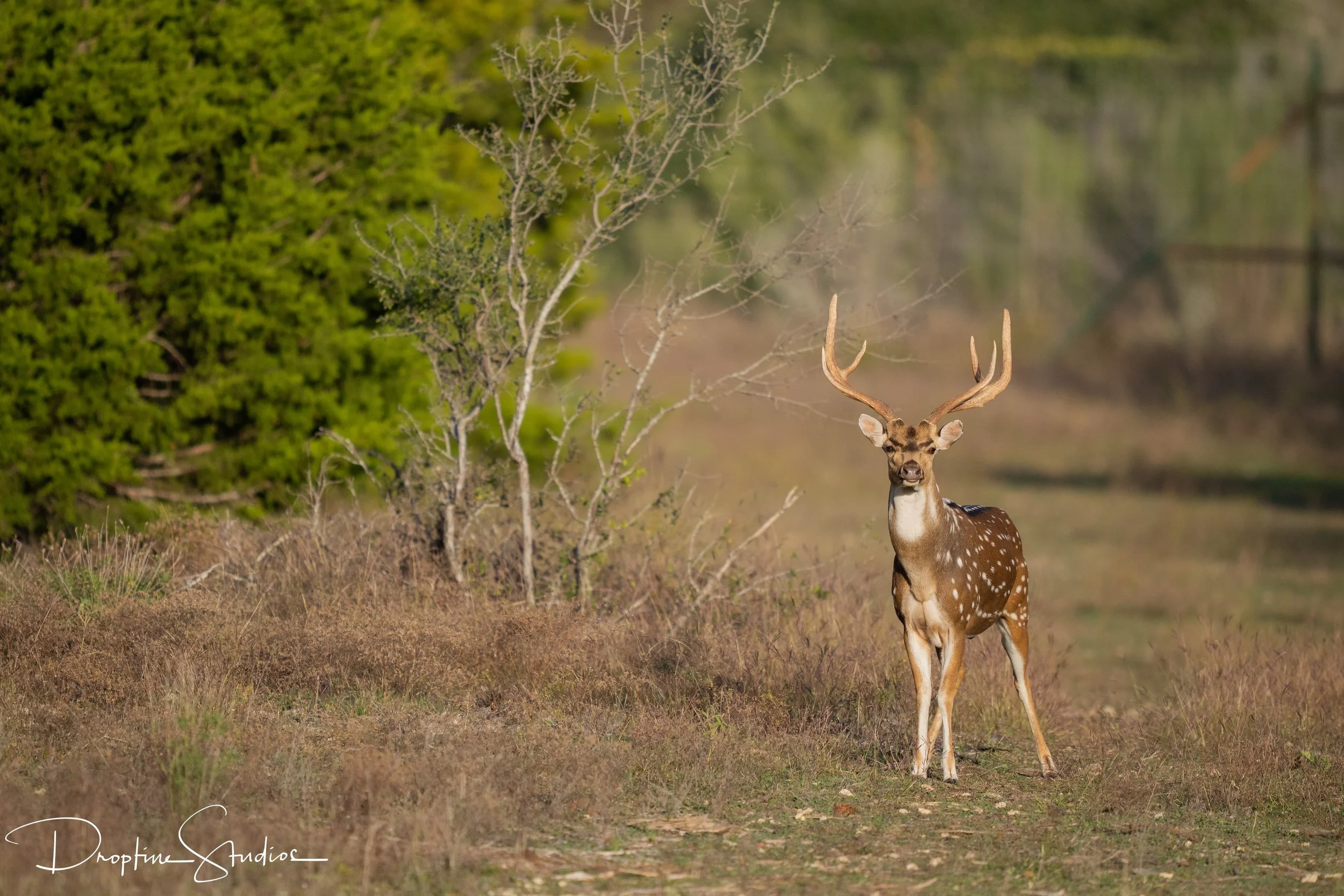 _A1_0432-min.jpg