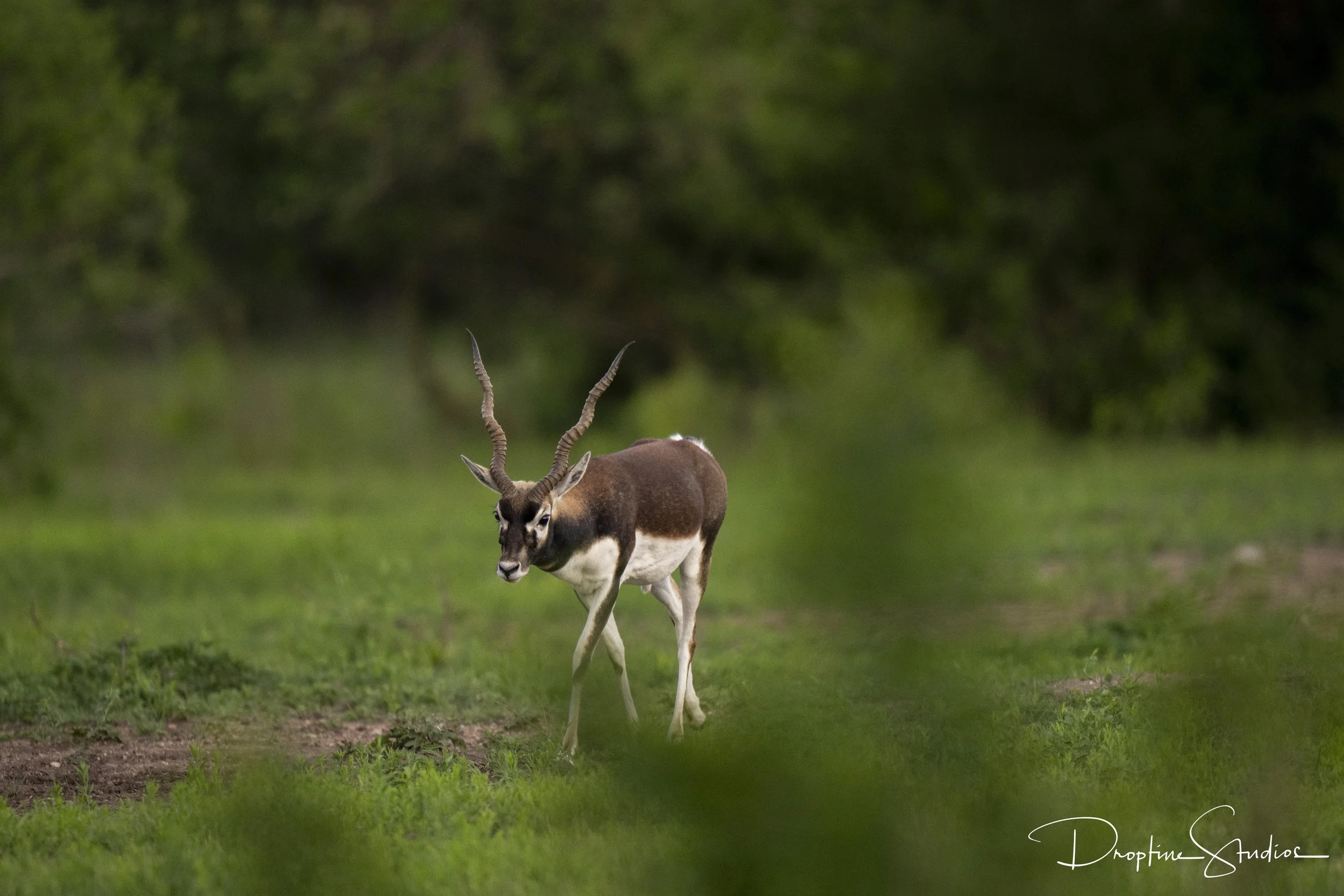 _DSC0528-min.jpg
