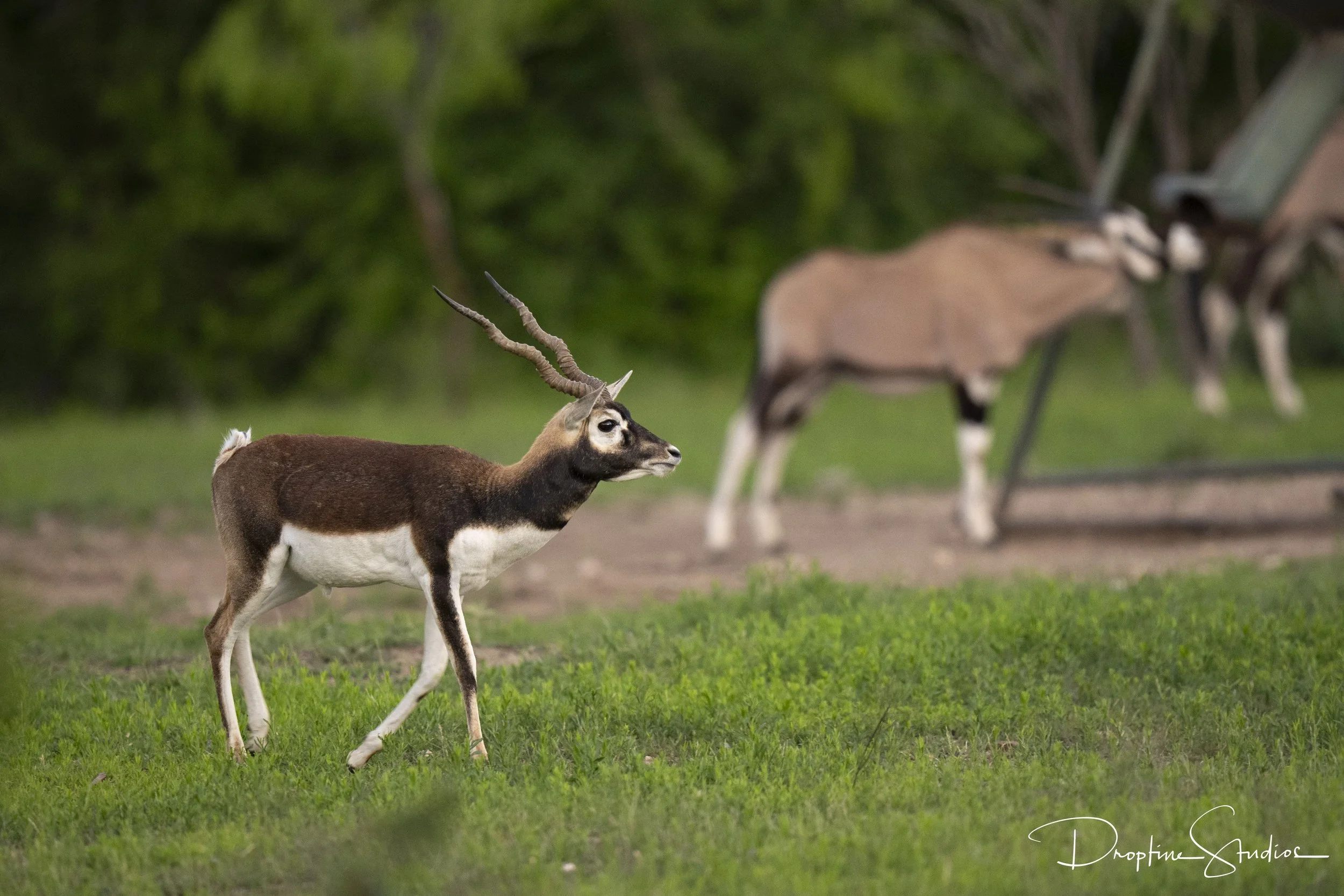 _DSC0529-min.jpg