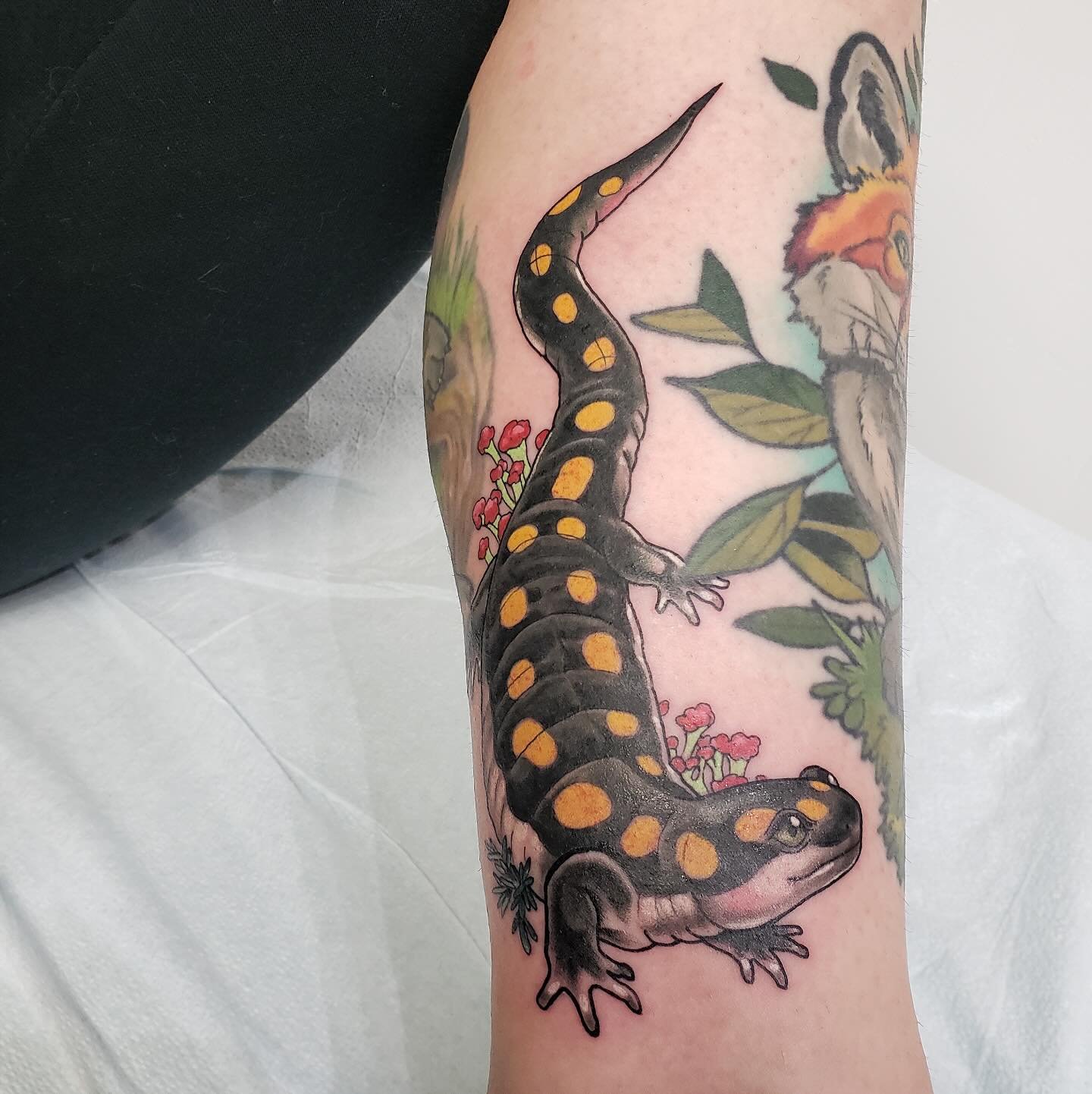 @snakesnladders loves doing nature tattoos like this lil guy so hit him up his books are open! 

‪#nanaimo #bc #canada #vanisle #vancouverisland #vanisletattoo #vancouver #art #artist #tattoo ‬#bluenosetattoo ‪@bluenosetattoo #colourtattoo #blackandg