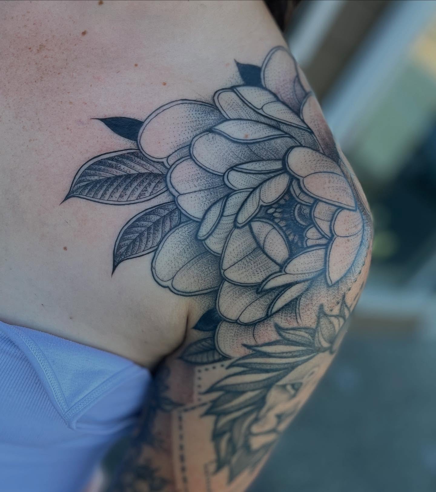 #throwback to this shoulder cap by @meagma that was placed to work around an existing lion design 

#tattoosbymeag ‪#tattoosbymeag #nanaimo #bc #canada #vanisle #vancouverisland #vanisle #vancouver #art #artist #tattoo ‬#bluenosetattoo ‪@bluenosetatt