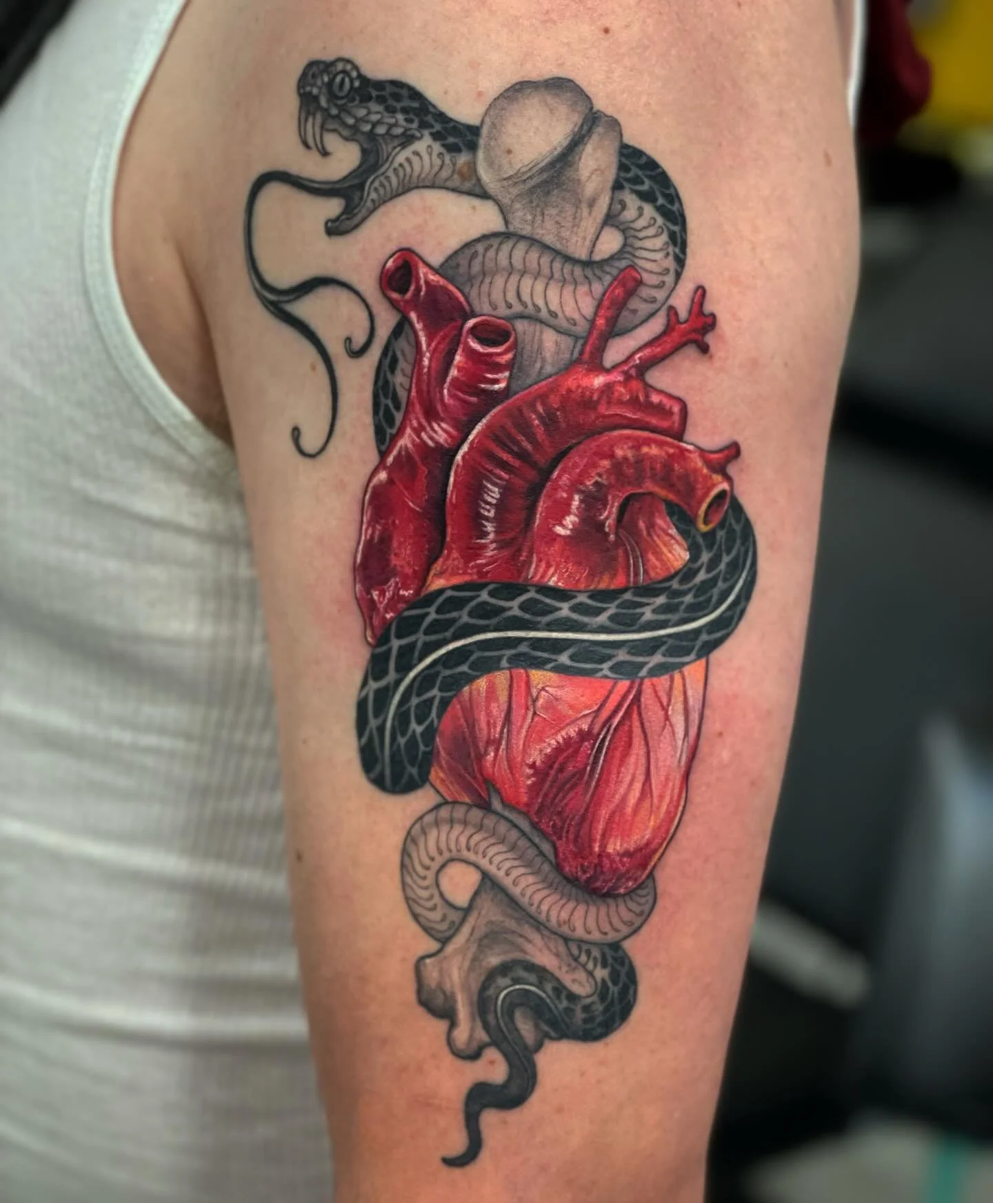 From a while back, a cool stylized snake and realistic heart by @meagma

#tattoosbymeag @bluenosetattoo ‪#nanaimo #bc #canada #vanisle #vancouverisland #vanisle #vancouver #art #artist #tattoo ‬#bluenosetattoo ‪@bluenosetattoo #colourtattoo #blackand