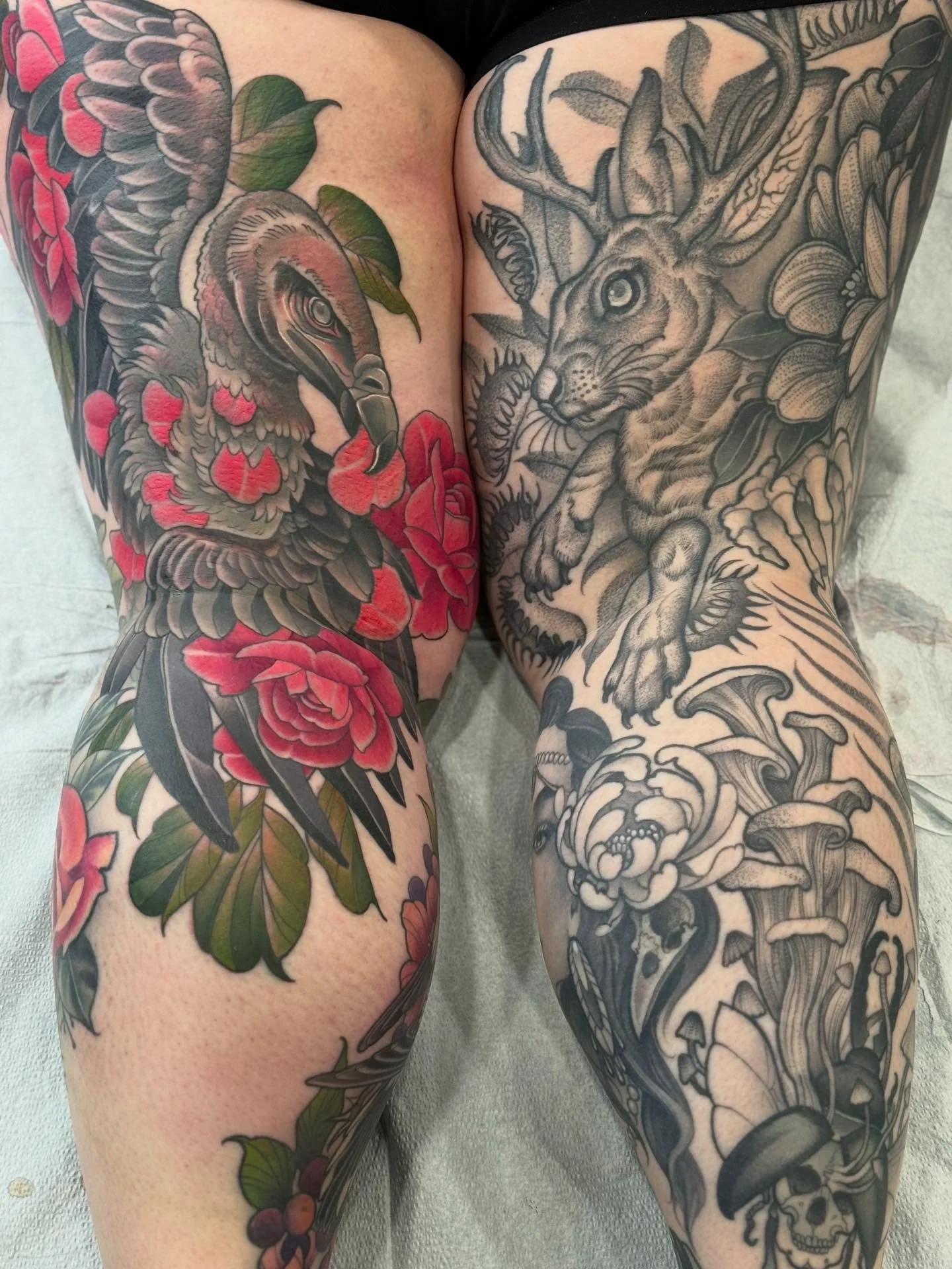 @misspunkypie&rsquo;s legs together, Jackalope done last year, vulture just finished up
Tattoos by @meagma 

‪#tattoosbymeag #nanaimo #bc #canada #vanisle #vancouverisland #vanisle #vancouver #art #artist #tattoo ‬#bluenosetattoo ‪#colourtattoo #blac