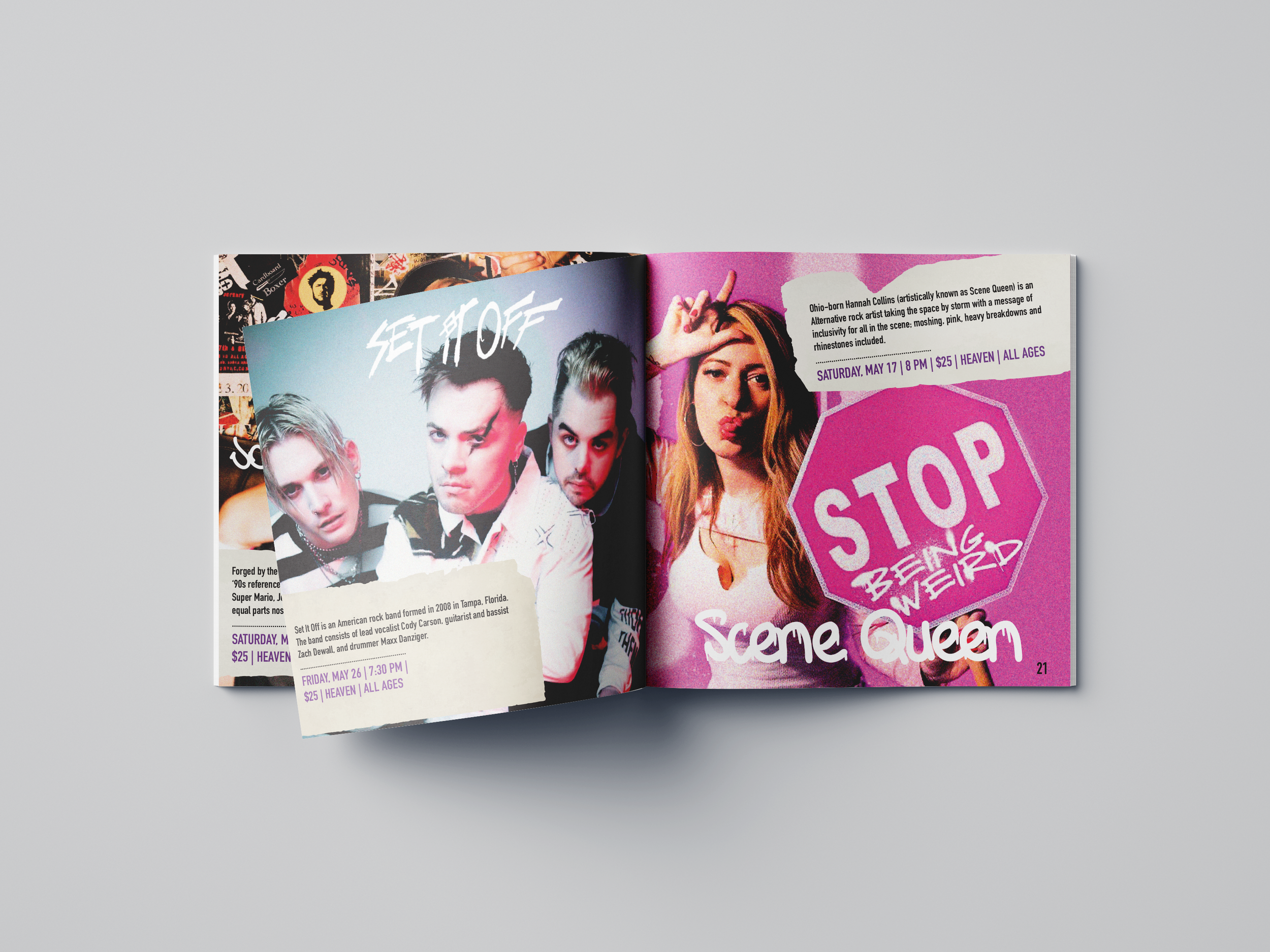 brochure 11.png