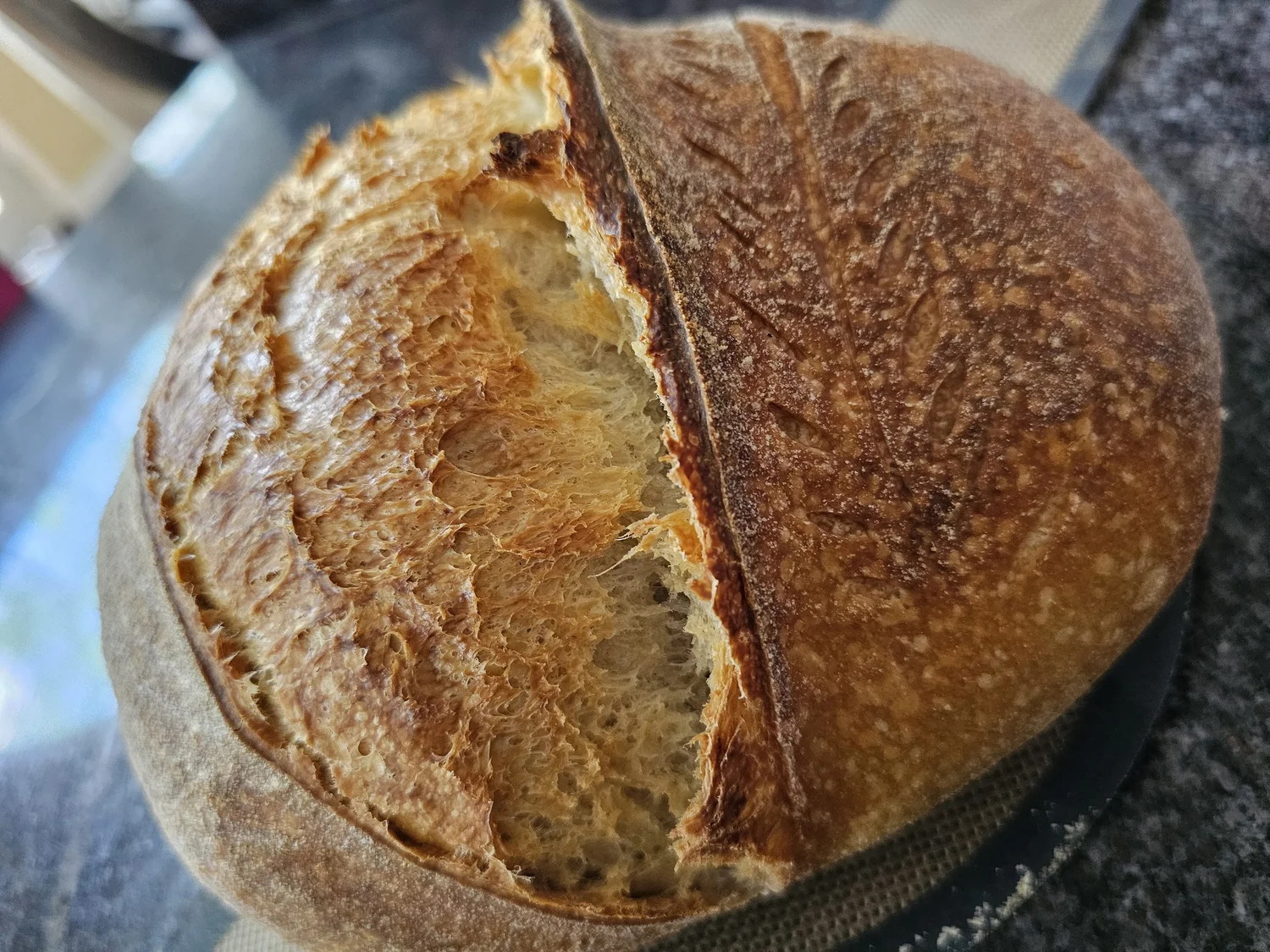 A rustic Italian sourdough loaf torn open to show its crumb