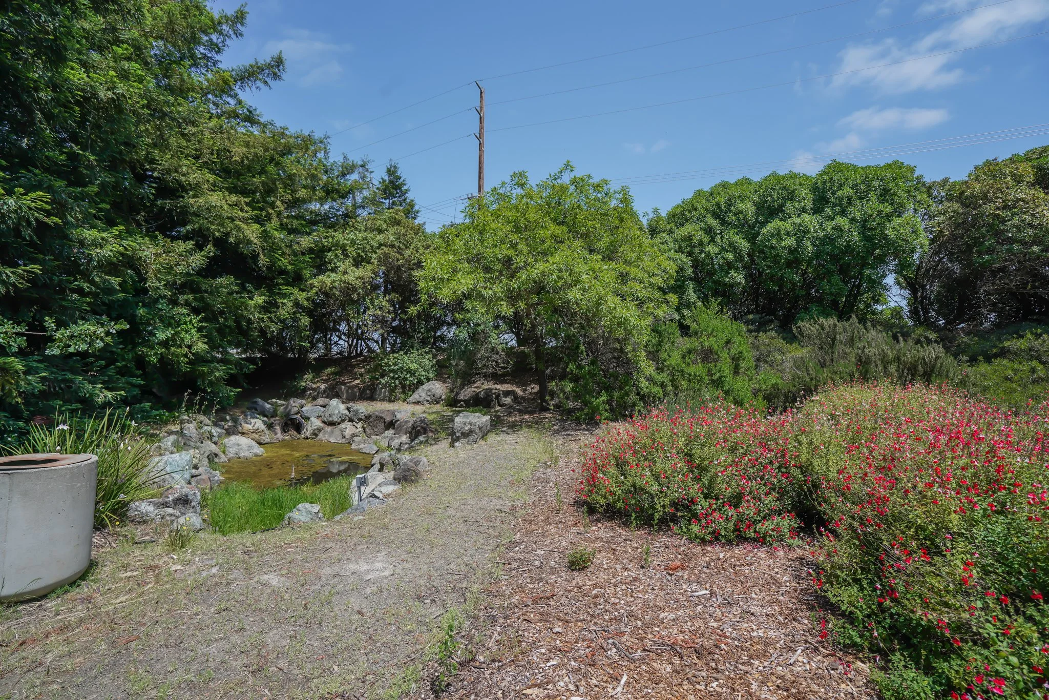 A garden with various green trees and shrubs, pink flowers on the right, a small pond surrounded by rocks on the left, and a gravel path in the middle. Power lines are visible in the background under a partly cloudy sky.