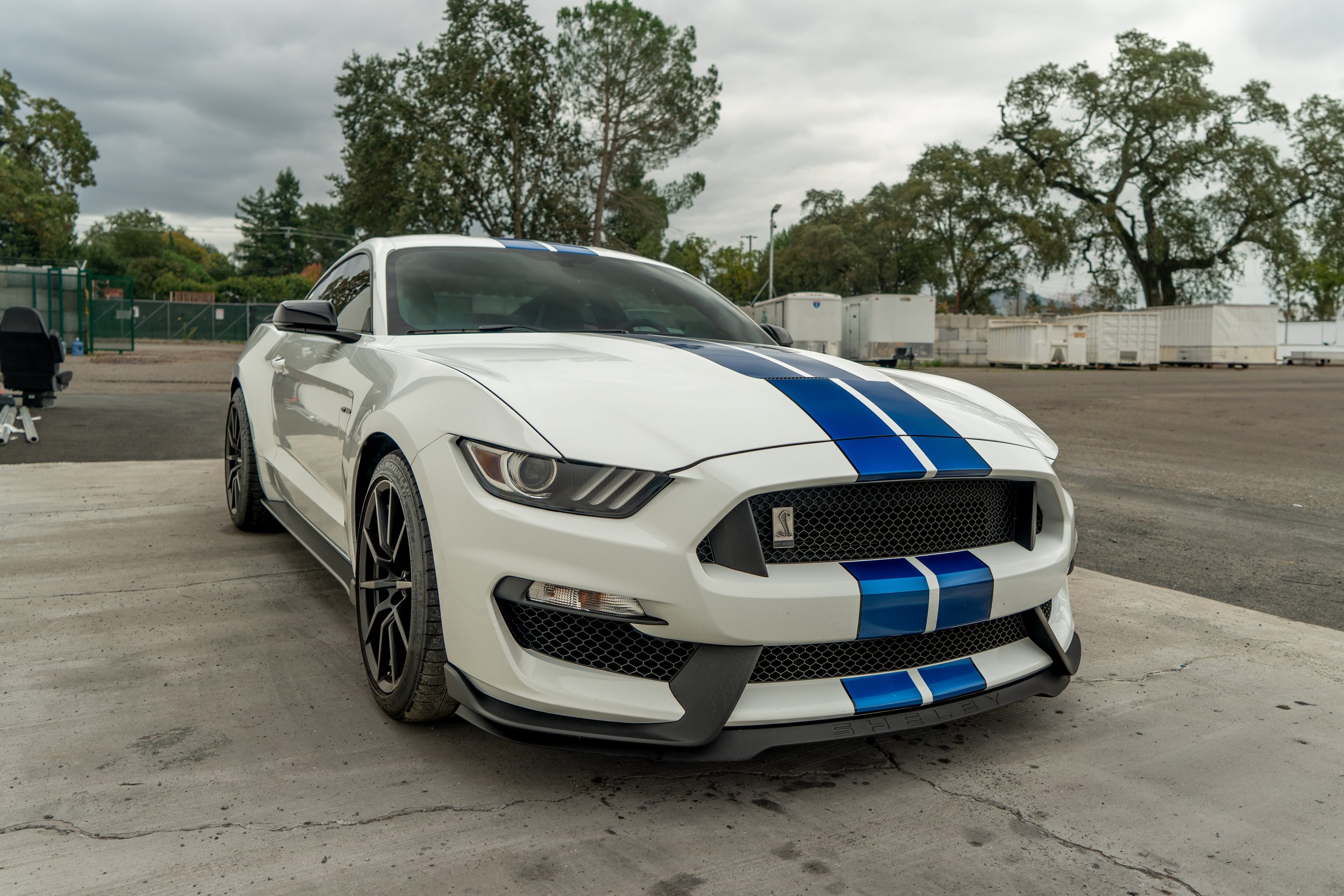 A white Ford Mustang Shelby sports car with blue racing stripes parked on a concrete surface outdoors, with trees and storage containers in the background.