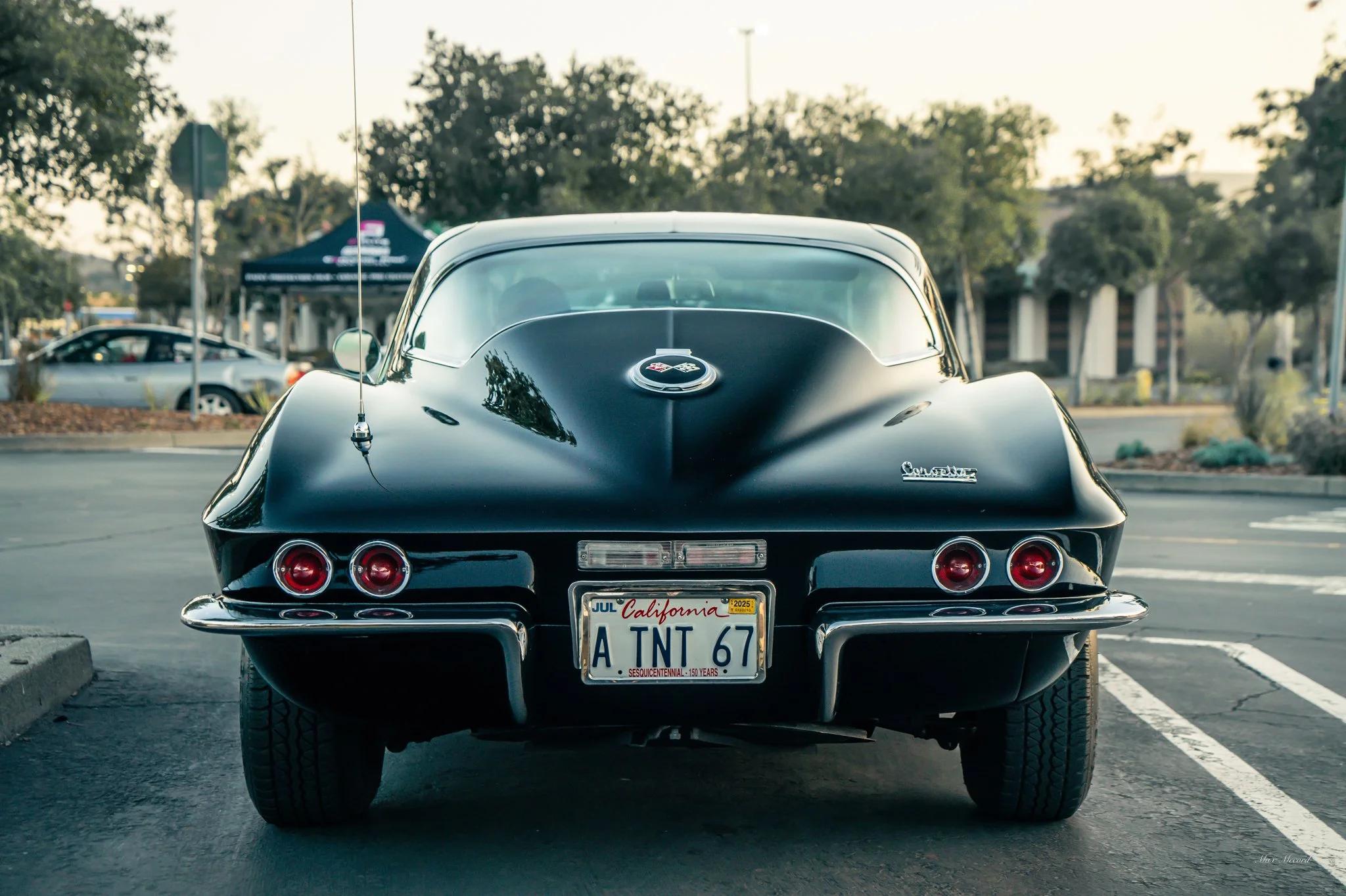 Rear view of a black vintage Corvette car parked in a parking lot, with a California license plate that reads 'A TNT 67' and a Corvette emblem on the hood.