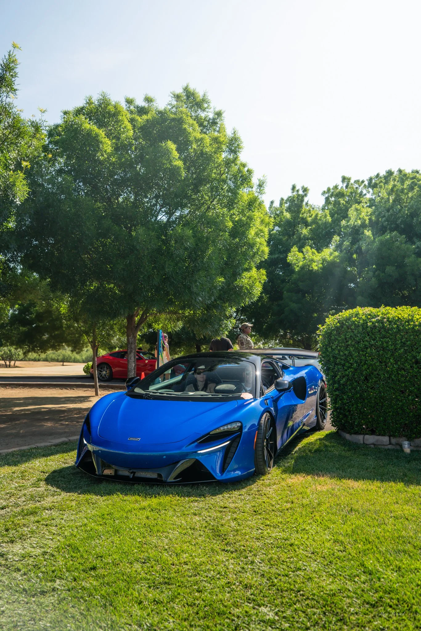 A blue sports car parked on a grassy area beside a hedge, with trees and another red car in the background under a sunny sky.