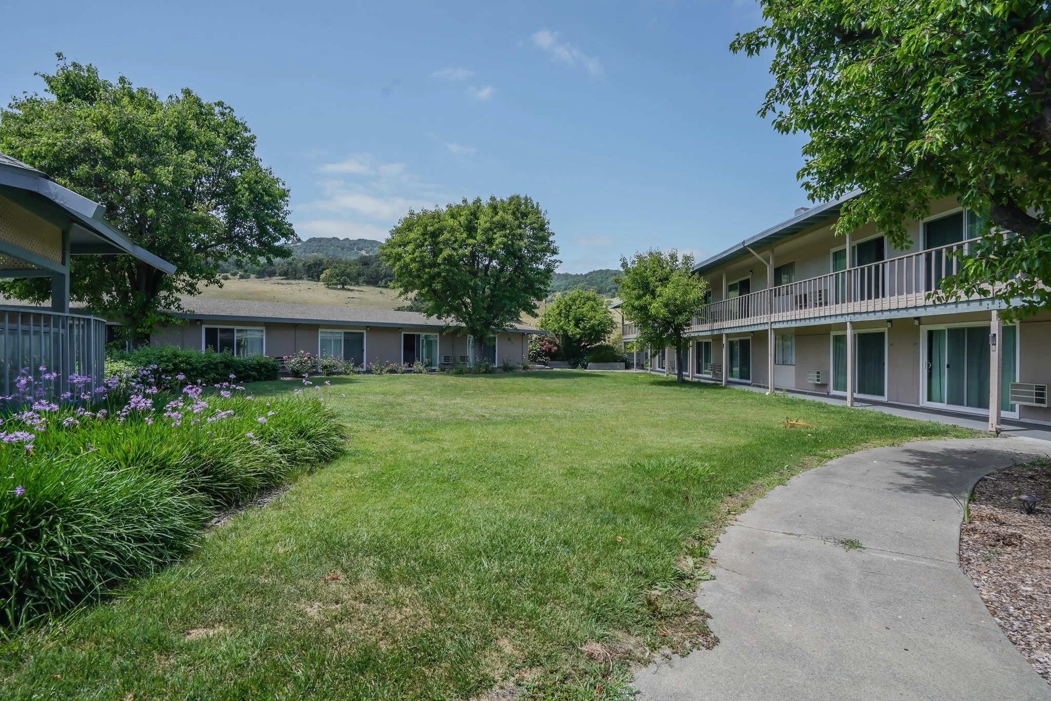 A grassy courtyard between two apartment buildings with trees and shrubs, under a blue sky.