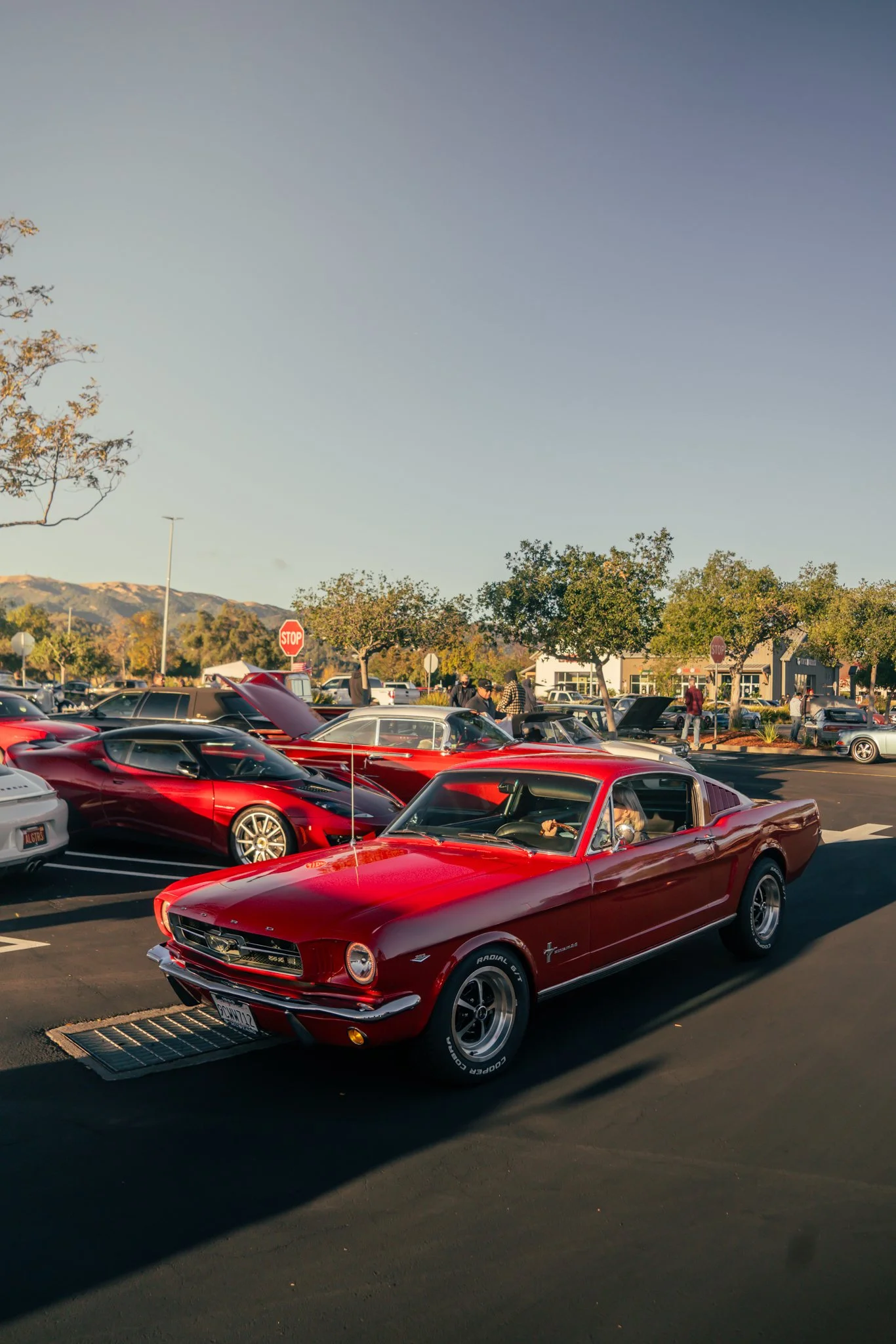 A classic red Ford Mustang parked in a car show lot among other modern sports cars and vintage vehicles, with trees and mountains in the background.