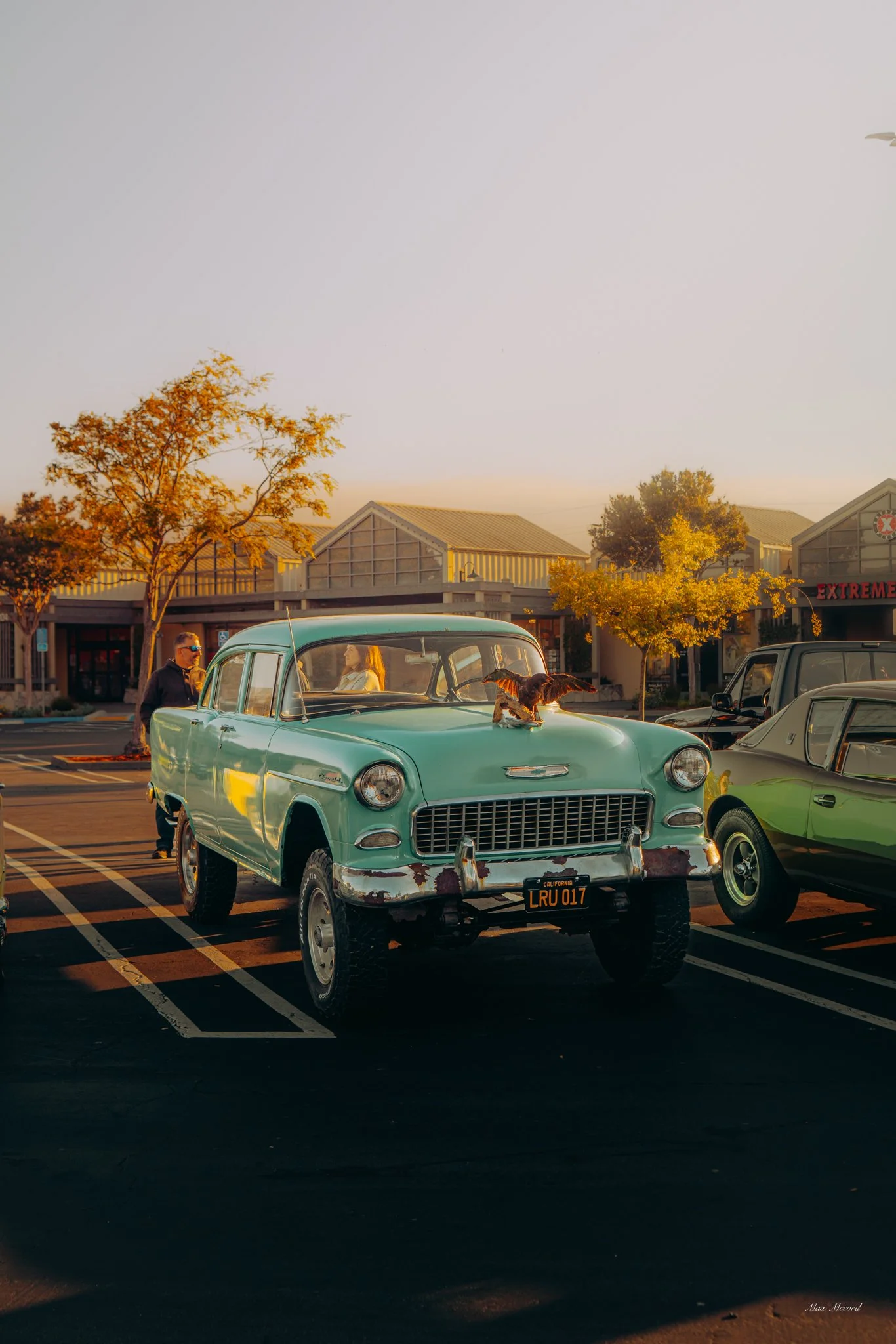 Vintage light blue car parked in a shopping lot during sunset with a dog on the hood, and two people near the car.