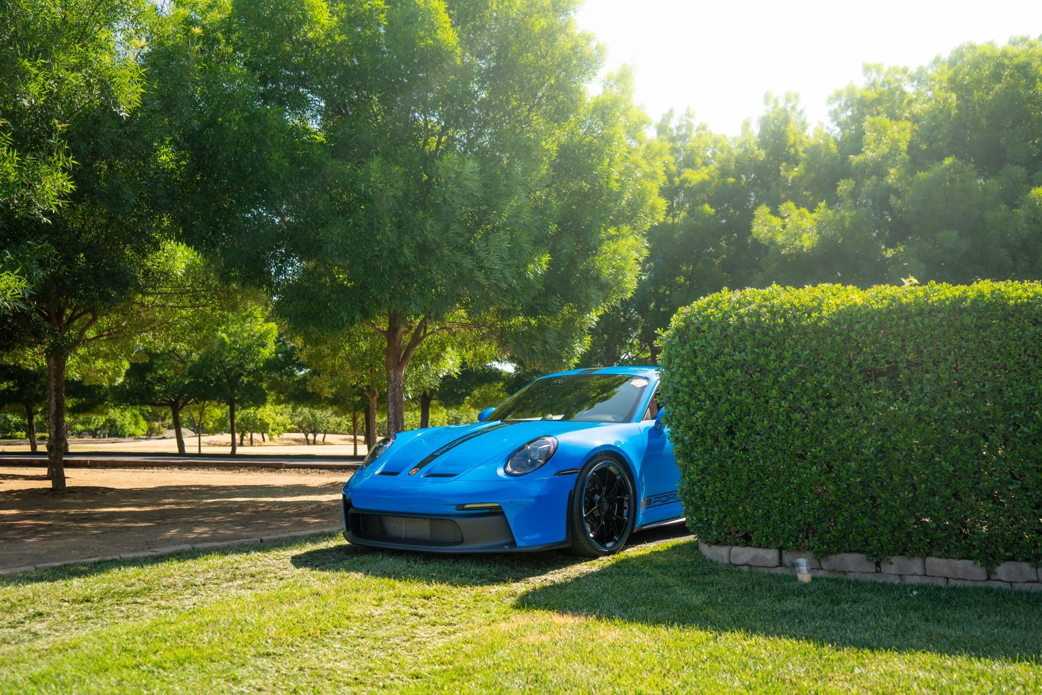 A bright blue sports car parked beside a neatly trimmed hedge under trees in a park-like setting with sunlight filtering through the leaves.