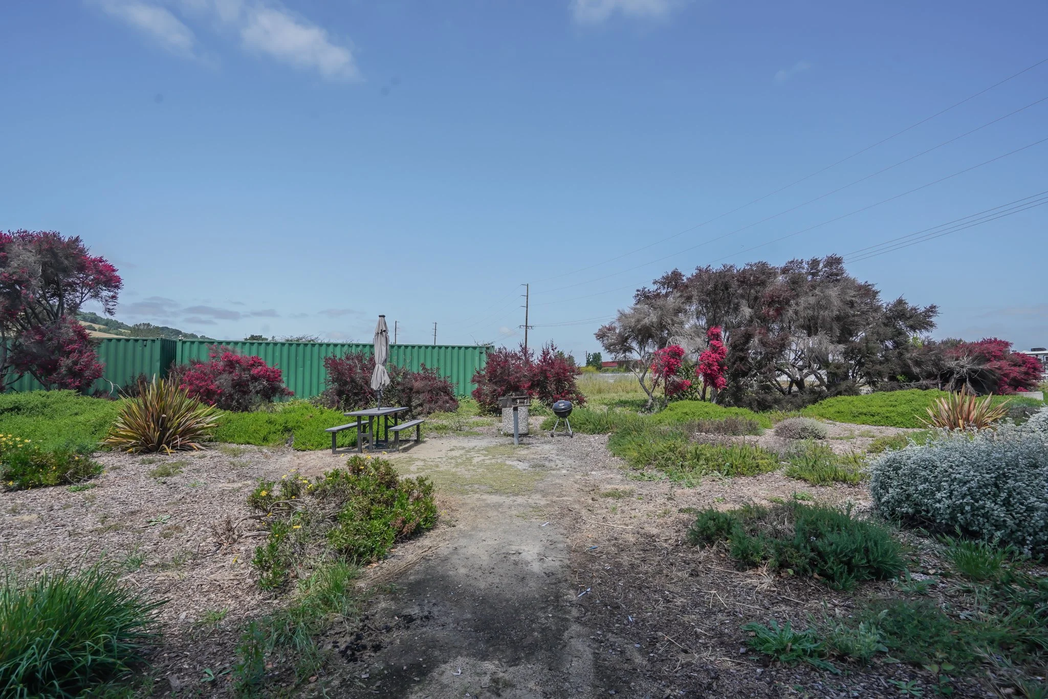 A small outdoor park area with a dirt path, wooden picnic table with an umbrella, a charcoal grill, green shrubs, and trees with pink and grayish foliage under a blue sky.
