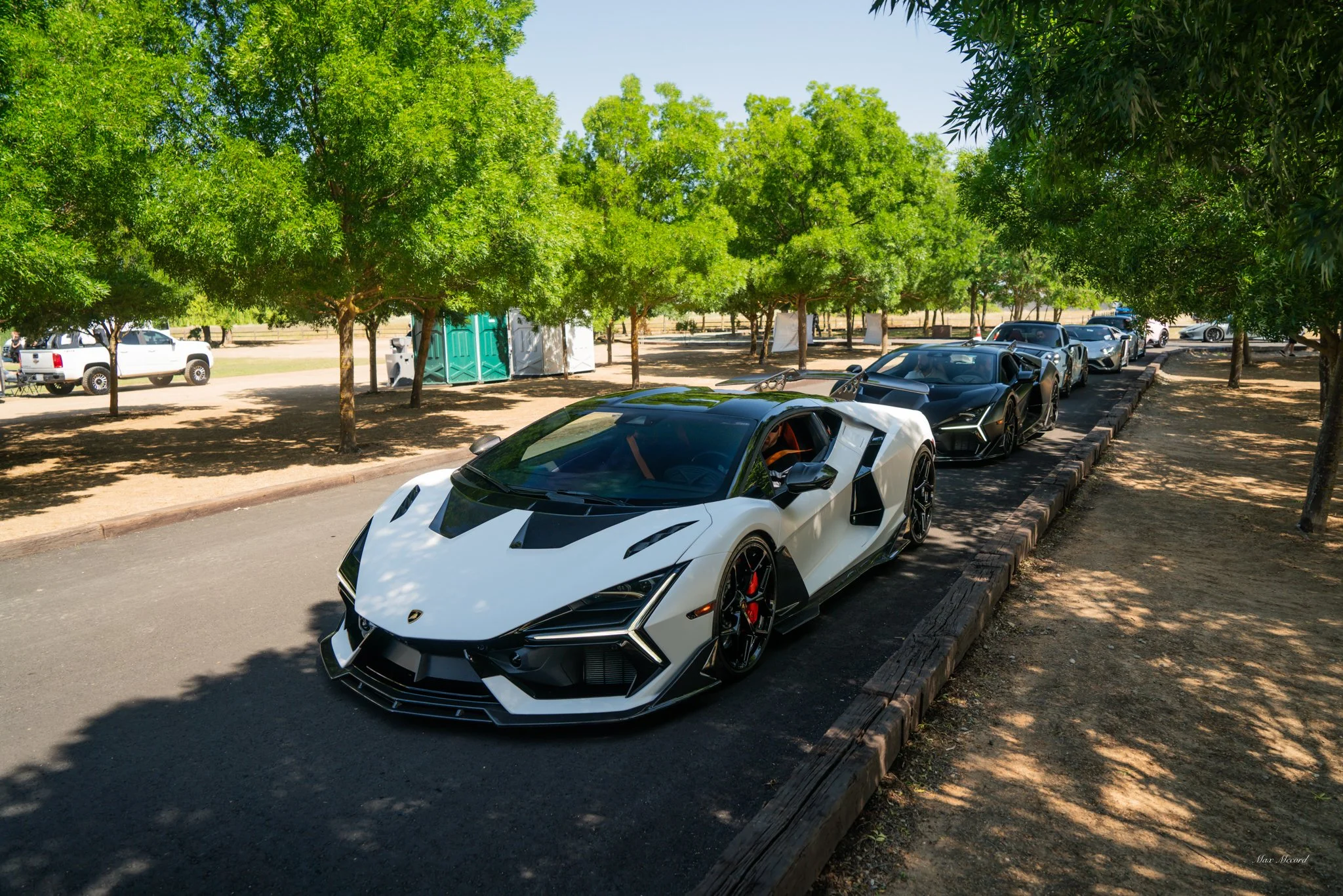 Several luxury cars parked in a line under green trees on a sunny day, with a clear blue sky in the background.