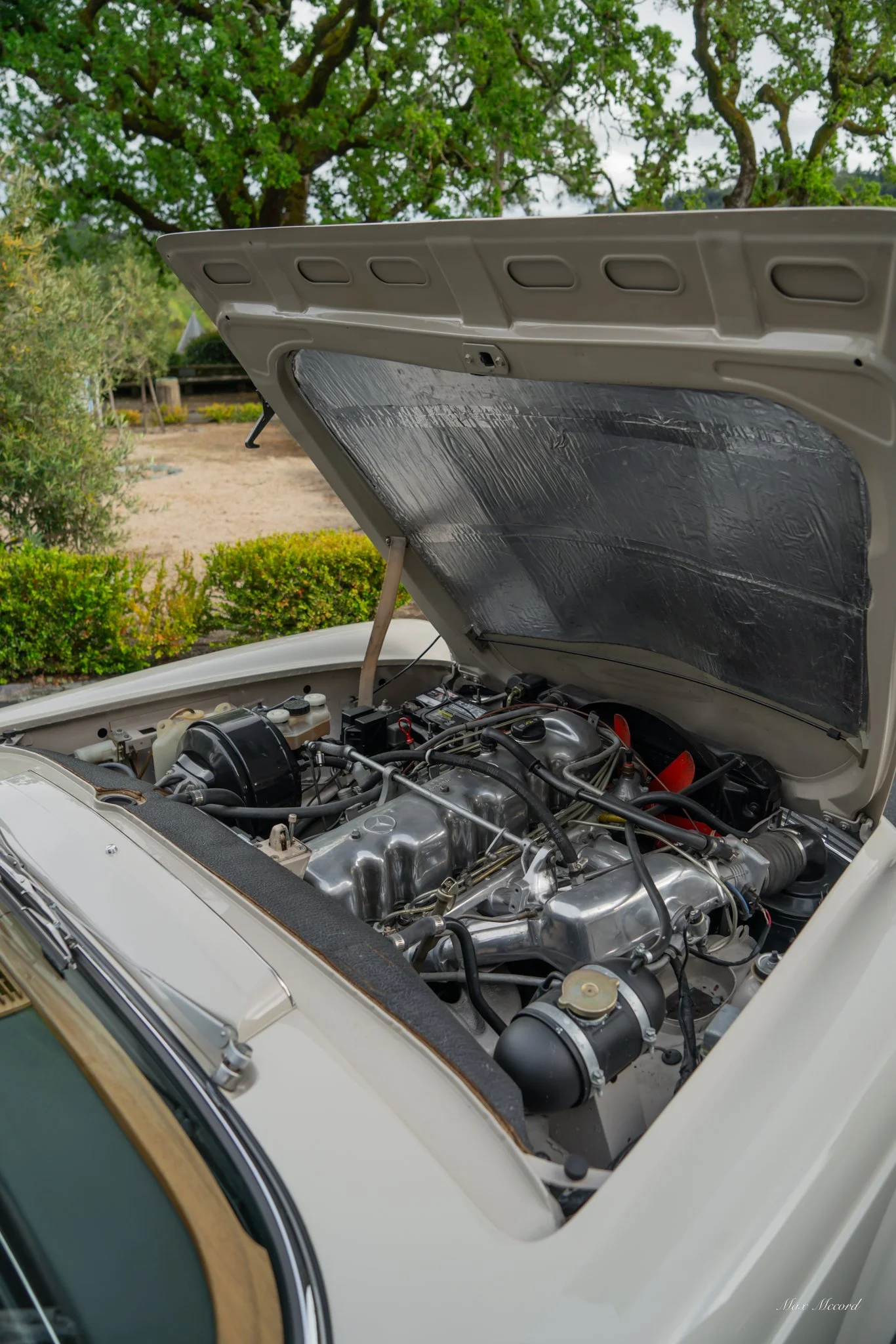 Open car hood showing engine in a vintage white car parked outdoors with trees and bushes in the background.
