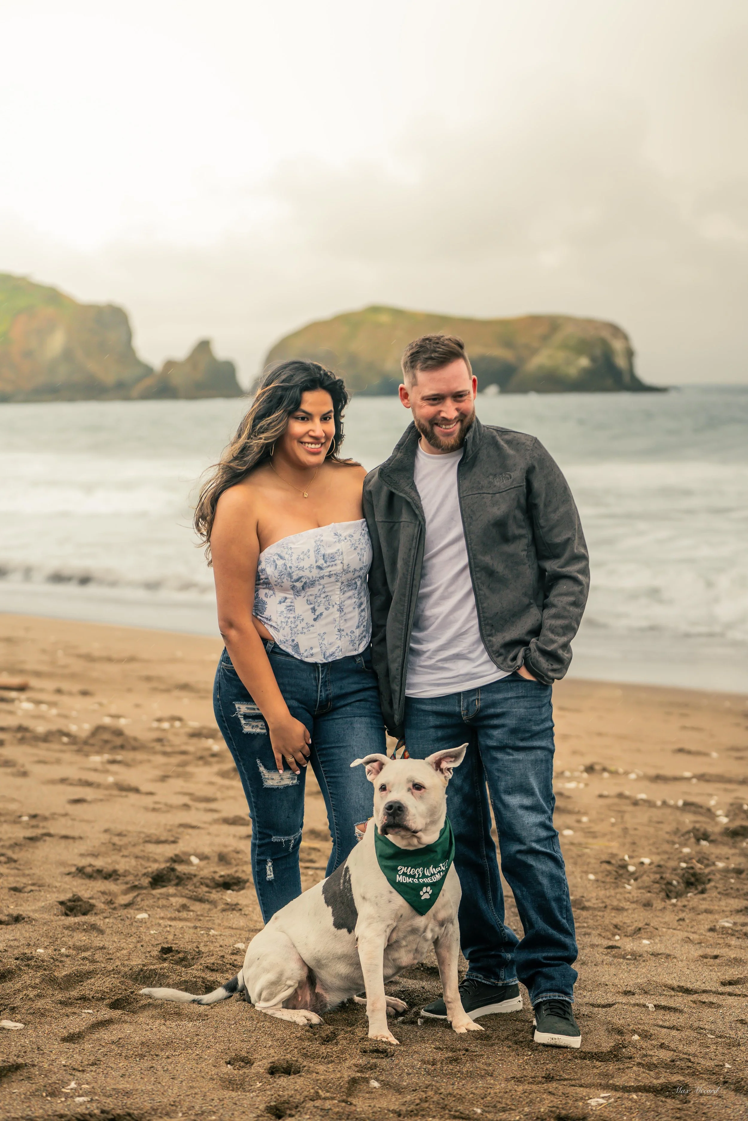 A smiling couple stands on the beach with a dog, ocean waves and sea stacks in the background.
