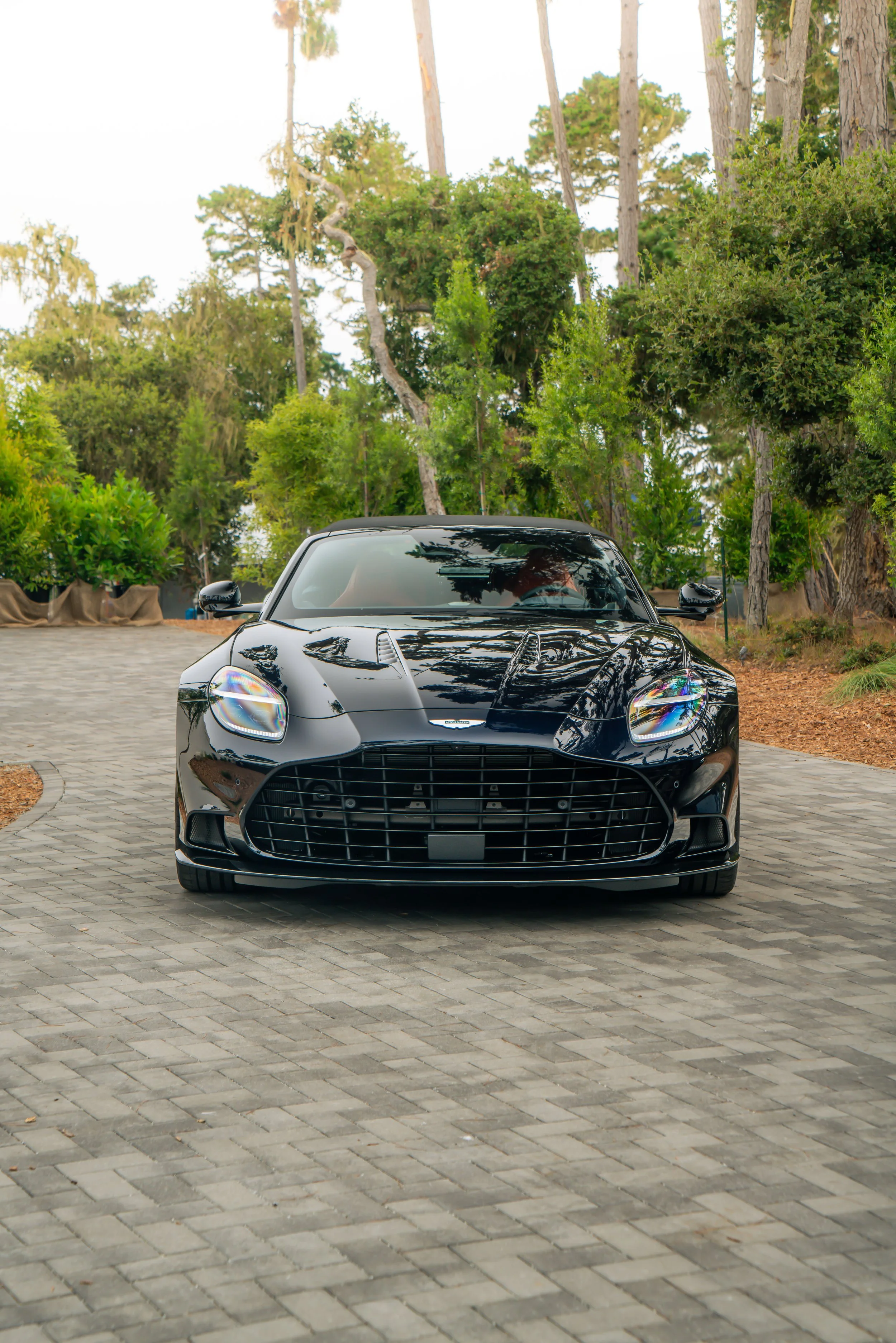 Black sports car parked on a paved driveway surrounded by trees and greenery.