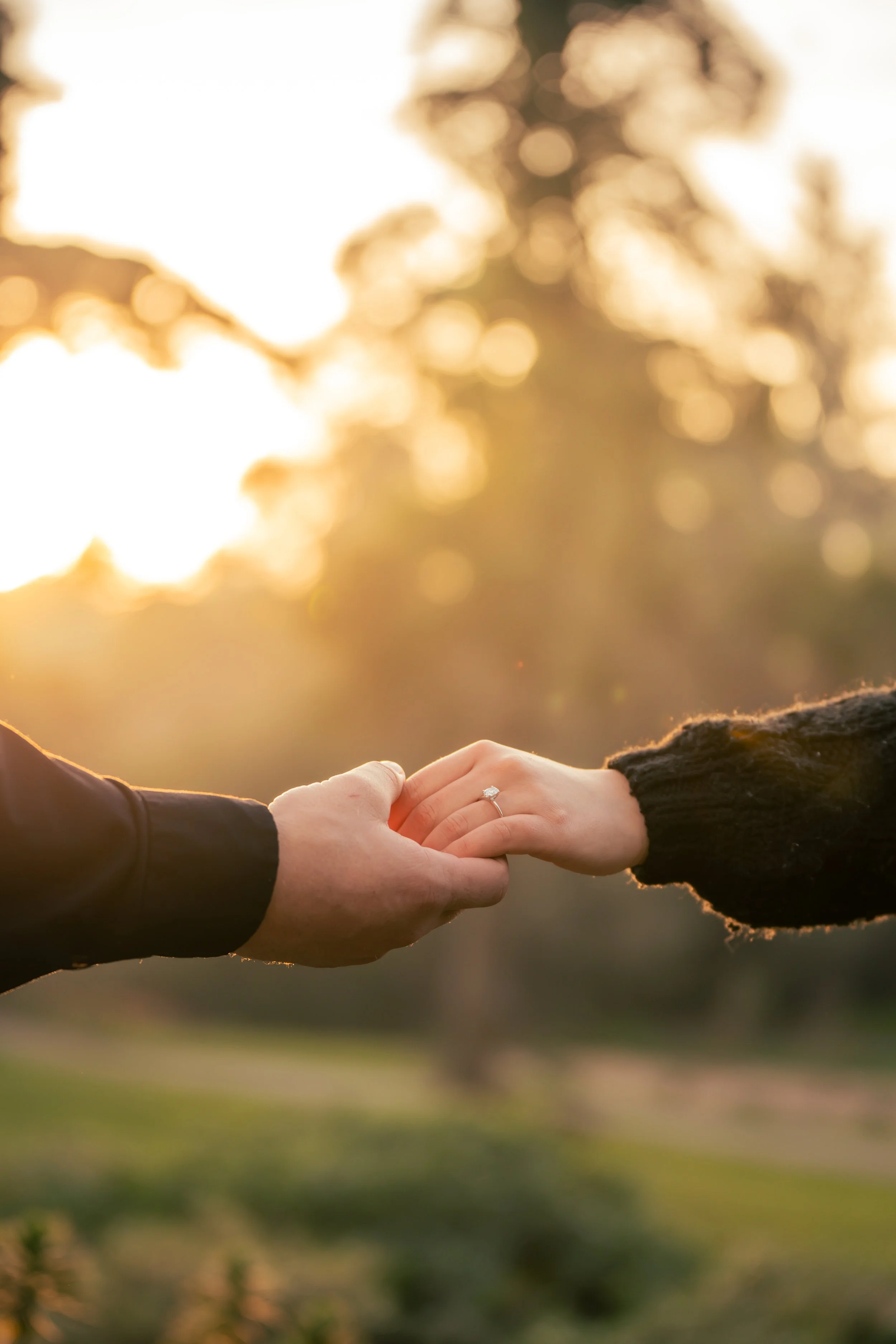 A person wearing a black sweater and another person wearing a black leather jacket holding hands outdoors during sunset, with blurred trees and sunlight in the background.
