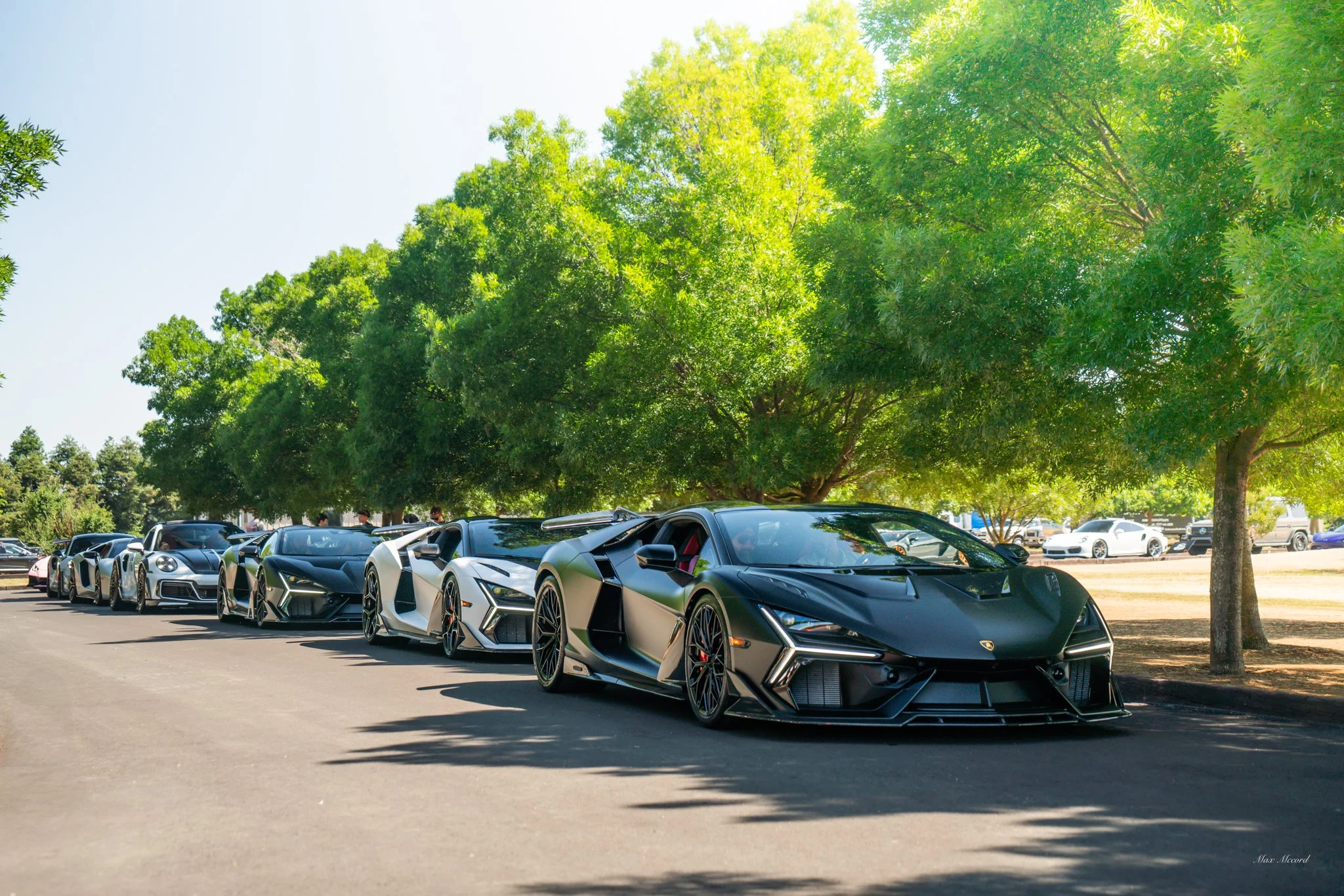 Line of luxury sports cars, including Lamborghini models, parked on a street shaded by large green trees.