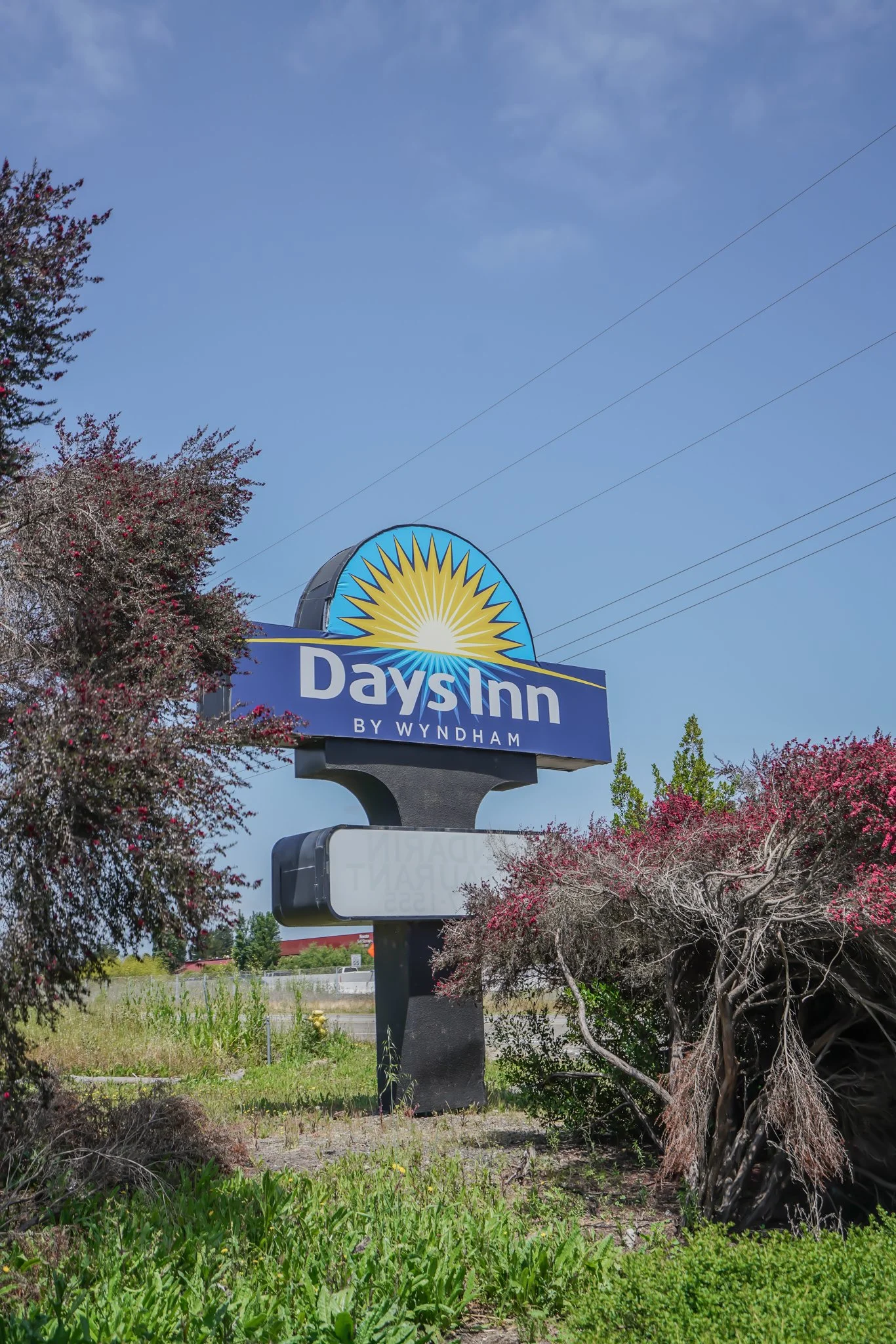 Sign for Days Inn by Wyndham hotel, partially obscured by bushes, with trees and a clear blue sky in the background.