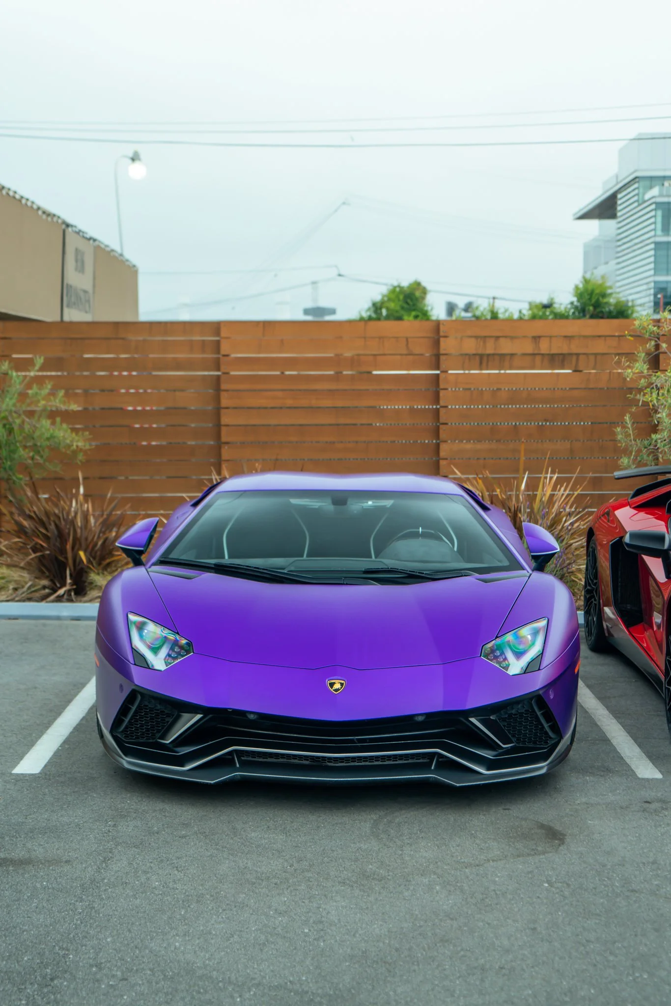 Purple Lamborghini sports car parked in a parking lot beside a red sports car, with a wooden fence and urban buildings in the background.