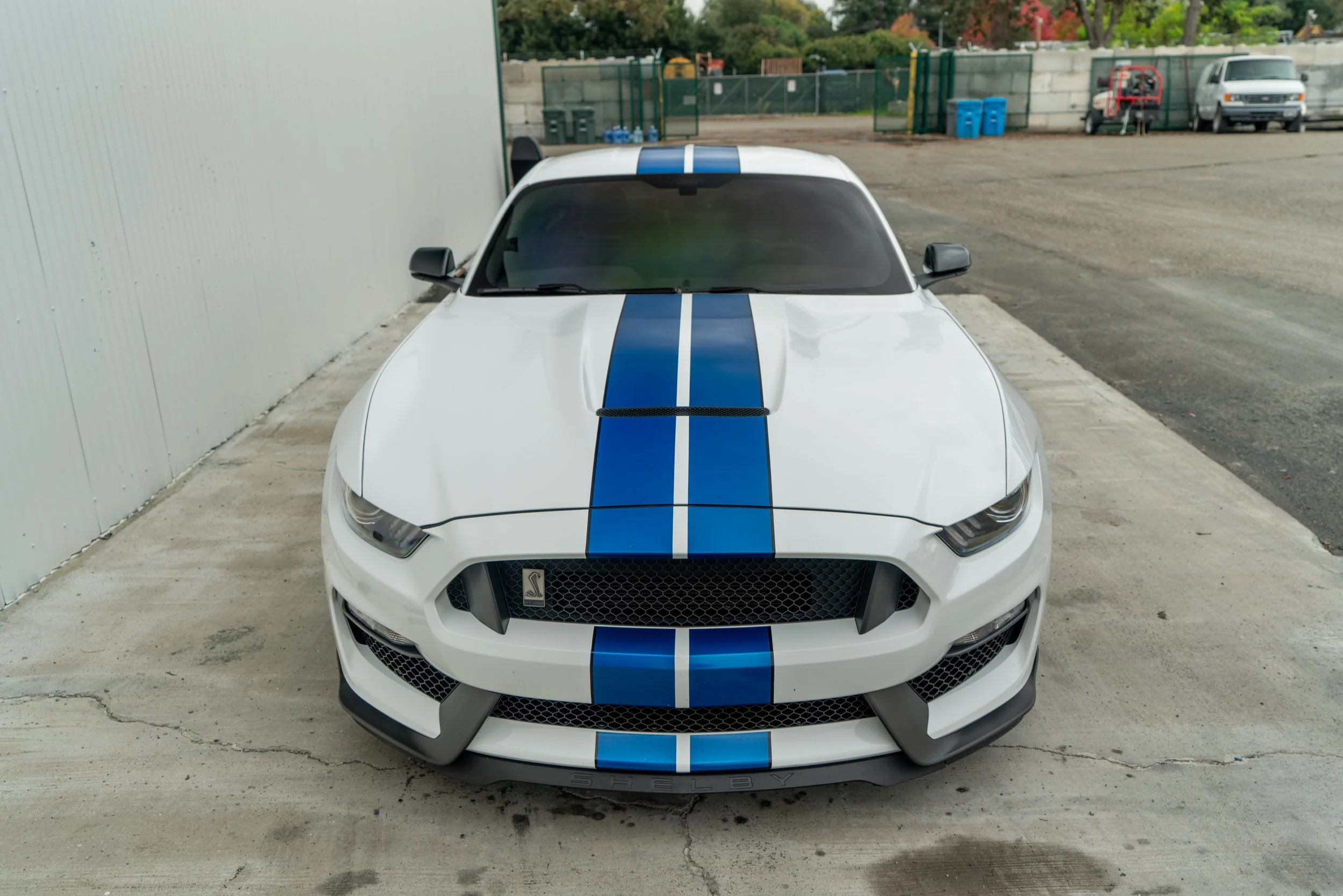 Front view of a white Shelby Mustang sports car with blue racing stripes, parked on a concrete surface in an outdoor area with a metal wall on the left and a gravel lot with other vehicles in the background.