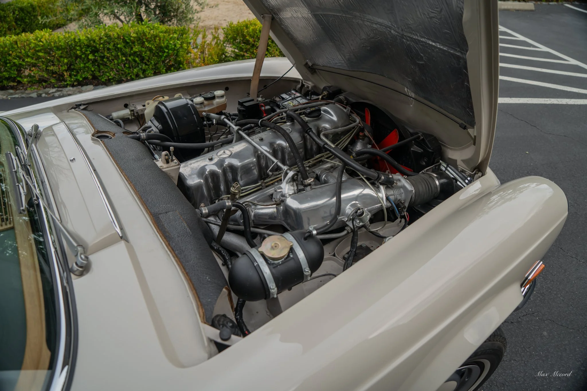 The hood of a classic white car is open, revealing the engine bay with a silver engine, various black hoses, and red fan blades. The car is parked next to a patch of green bushes and asphalt parking lot.