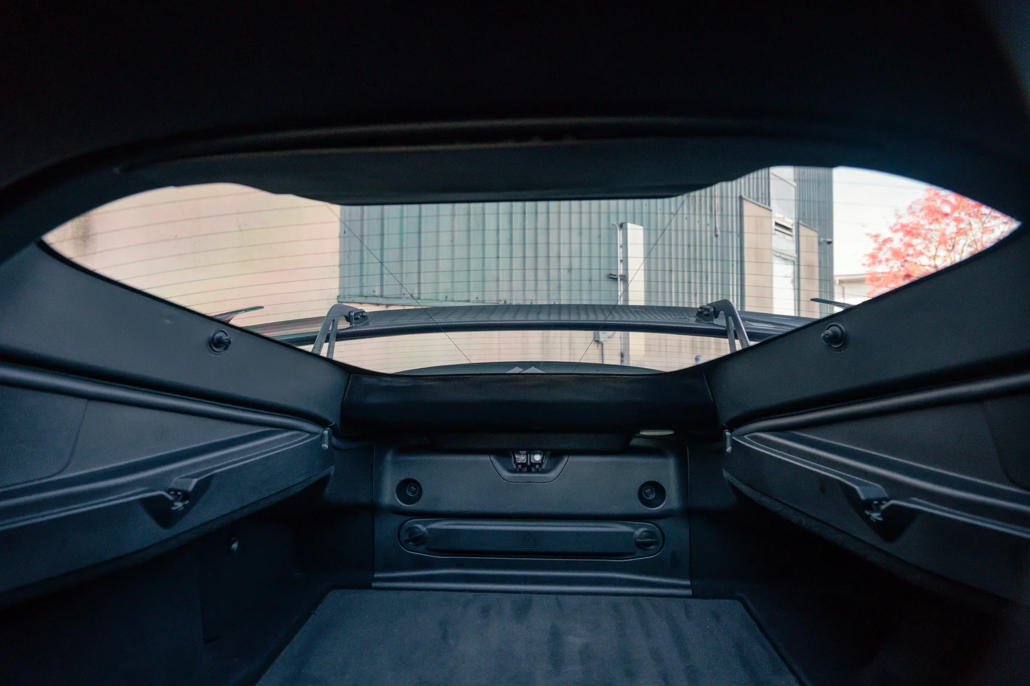 View from inside the trunk of a vehicle looking out the rear windshield towards a modern building with glass windows and an orange tree to the side.