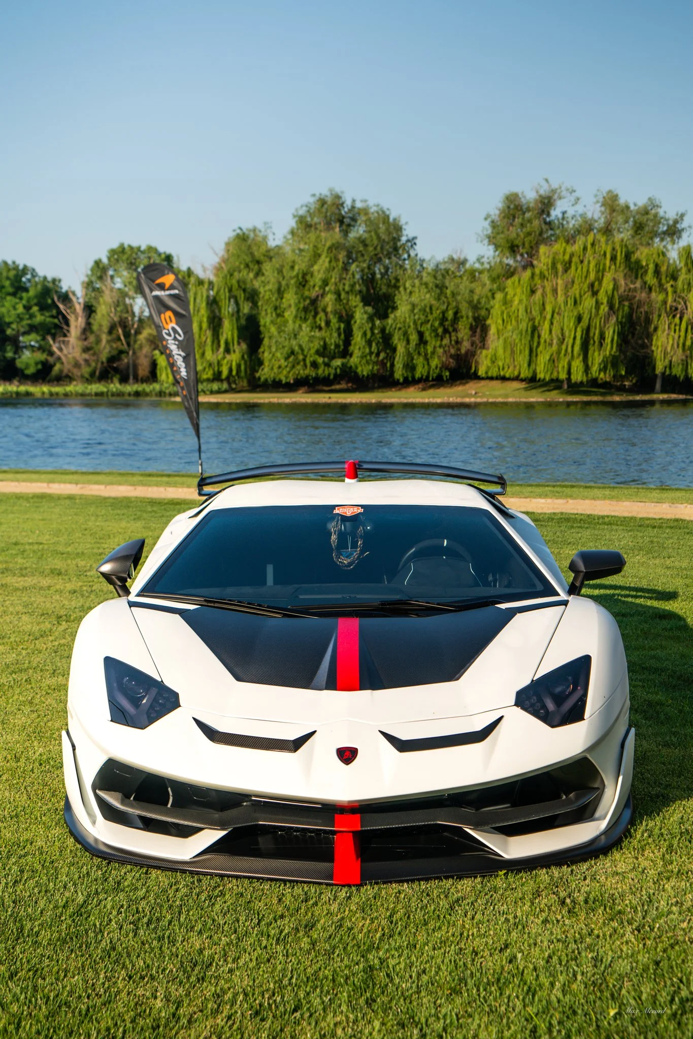 White sports car with black and red accents parked on grass near a body of water and greenery.