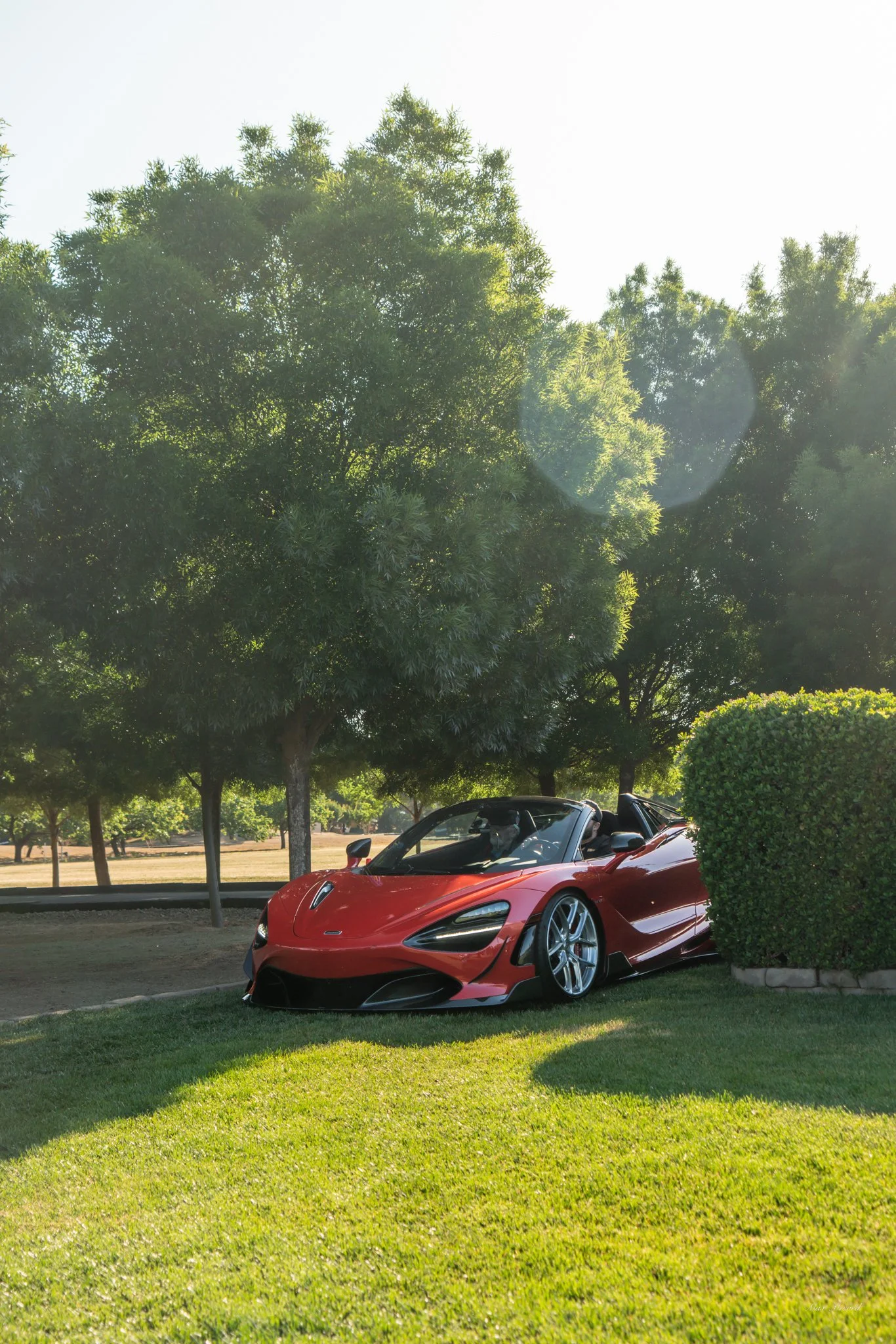 A red convertible sports car parked on a grassy area beside a hedge, with trees and sunlight in the background.