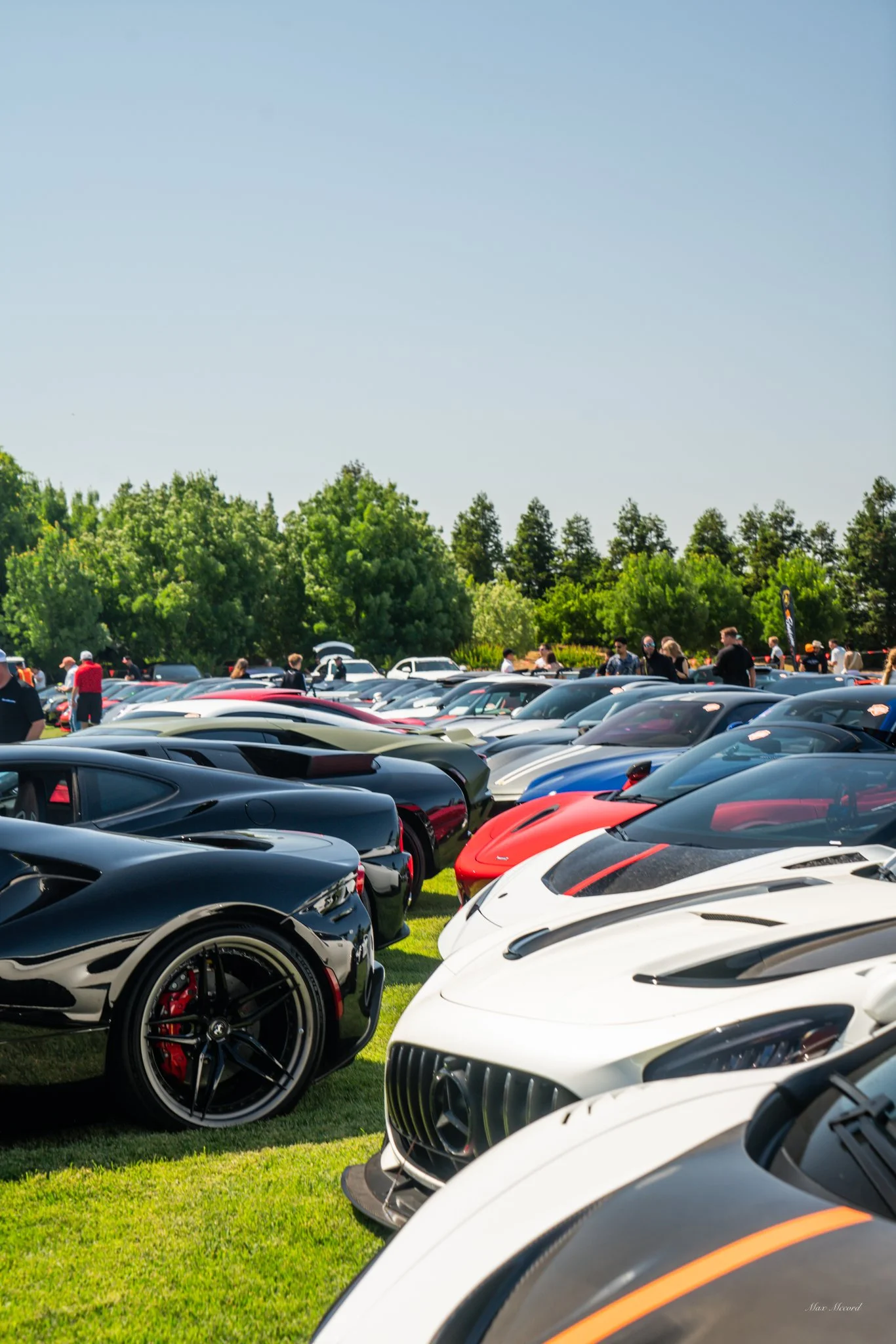 A line of luxury sports cars and supercars parked on a grass field at a car show, with people walking and viewing in the background under a clear blue sky.