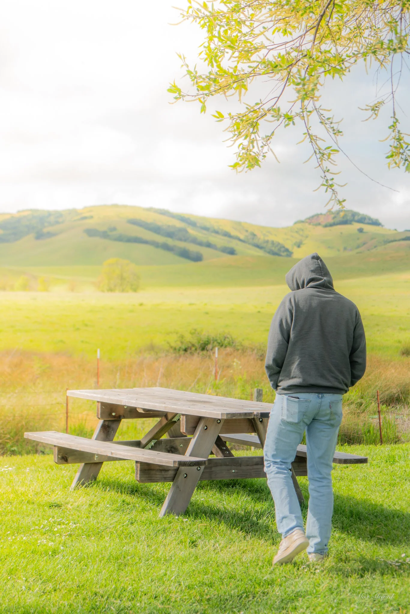 A person wearing a gray hoodie and light blue jeans walking away from the camera toward a wooden picnic table in a grassy park with rolling hills in the background.