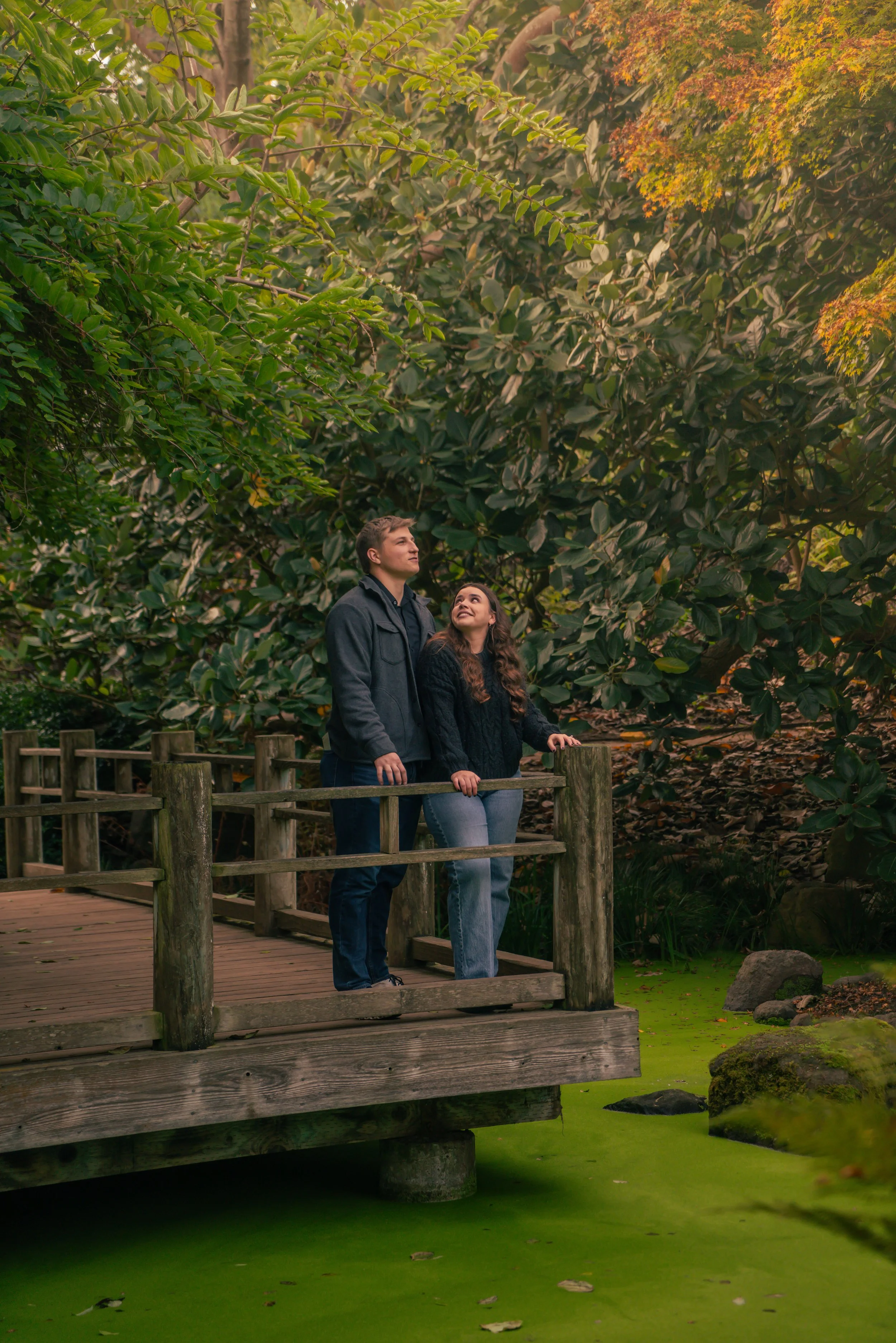A couple standing on a wooden bridge in a lush, green forest, looking up at the trees and sky.
