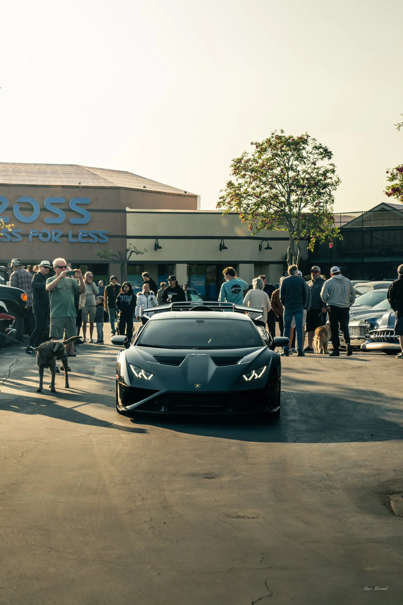 A black Lamborghini sports car parked in front of a group of people gathered at a car show outside a shopping mall, with some taking photos and some walking their dogs.