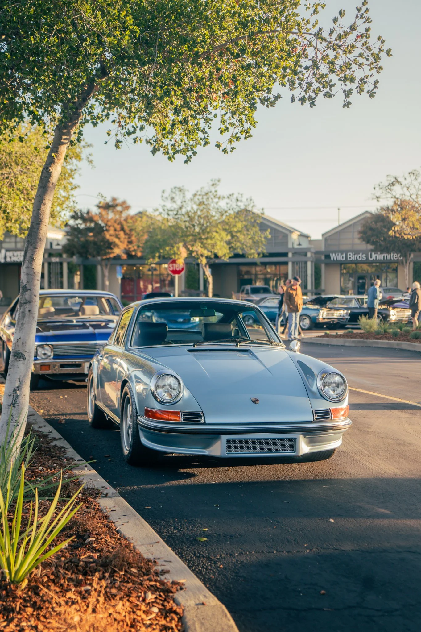 A silver classic Porsche 911 parked in an outdoor lot with trees and a store named 'Wild Birds Unlimited' in the background.
