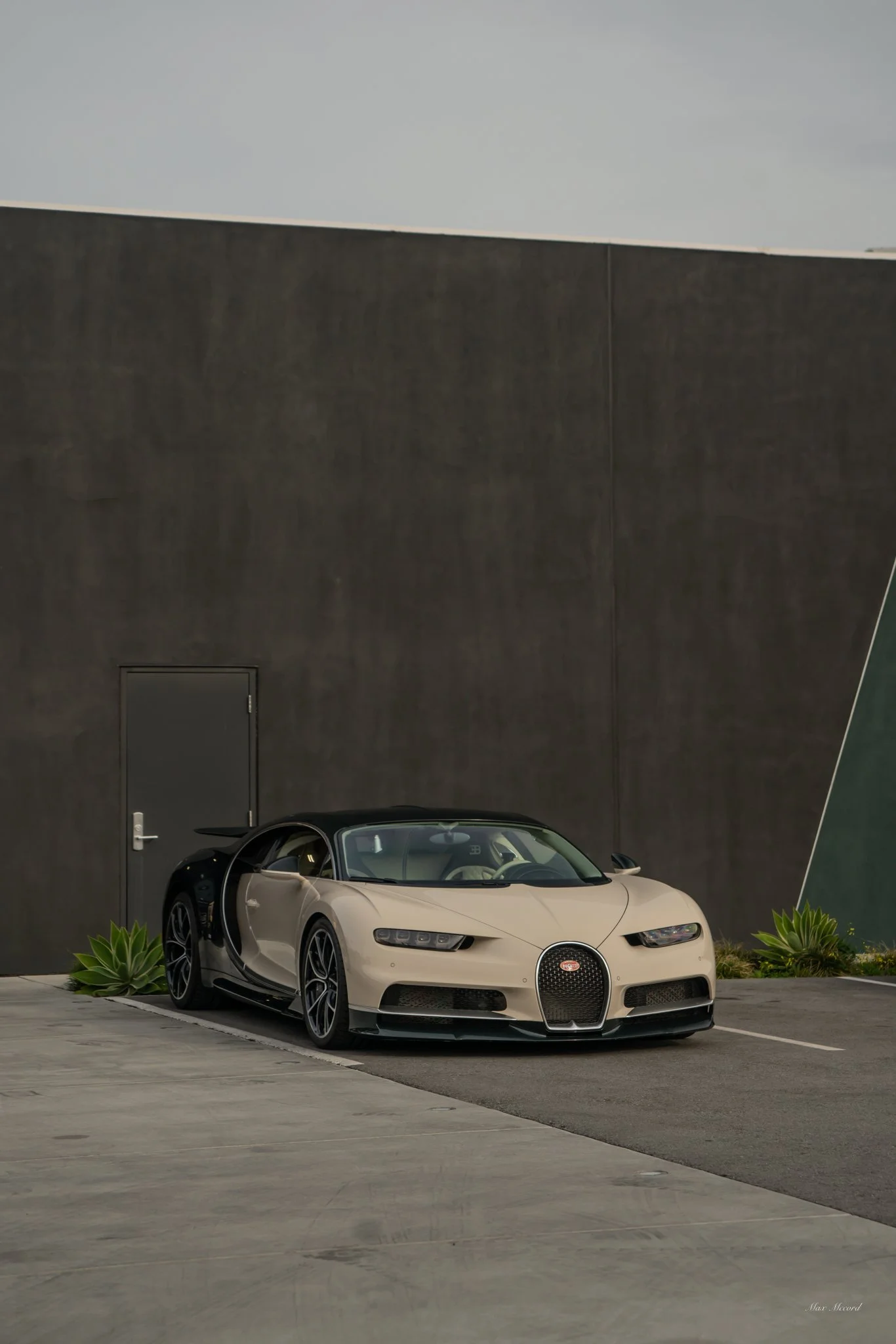 A beige and black luxury sports car parked in front of a modern, minimalist building with succulents nearby.