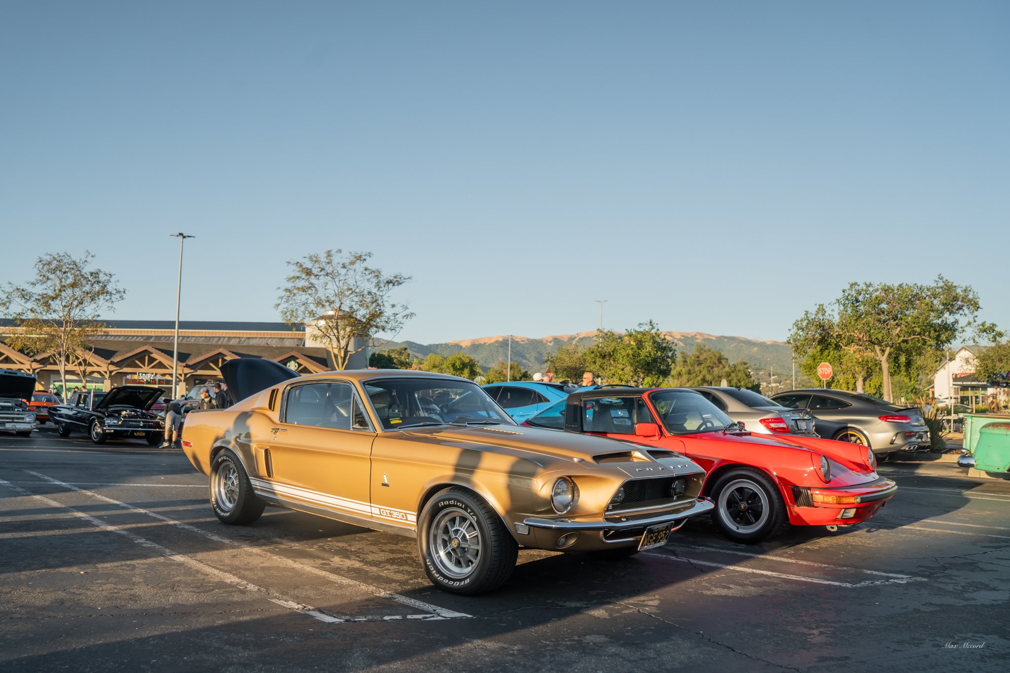 A parking lot full of classic and sports cars, including a gold Shelby GT350 Mustang, a red Porsche 911 Carrera, and other vehicles, during a car show.