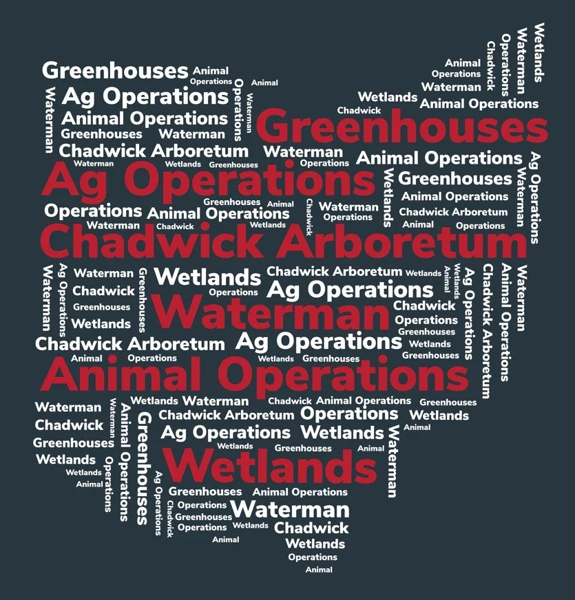 OSU CFAES Shirt Design.jpg