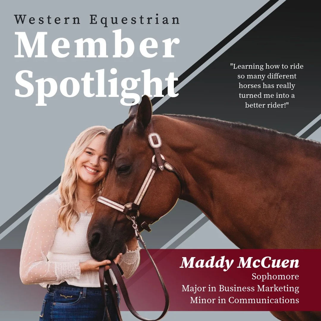 Member Spotlight.jpeg