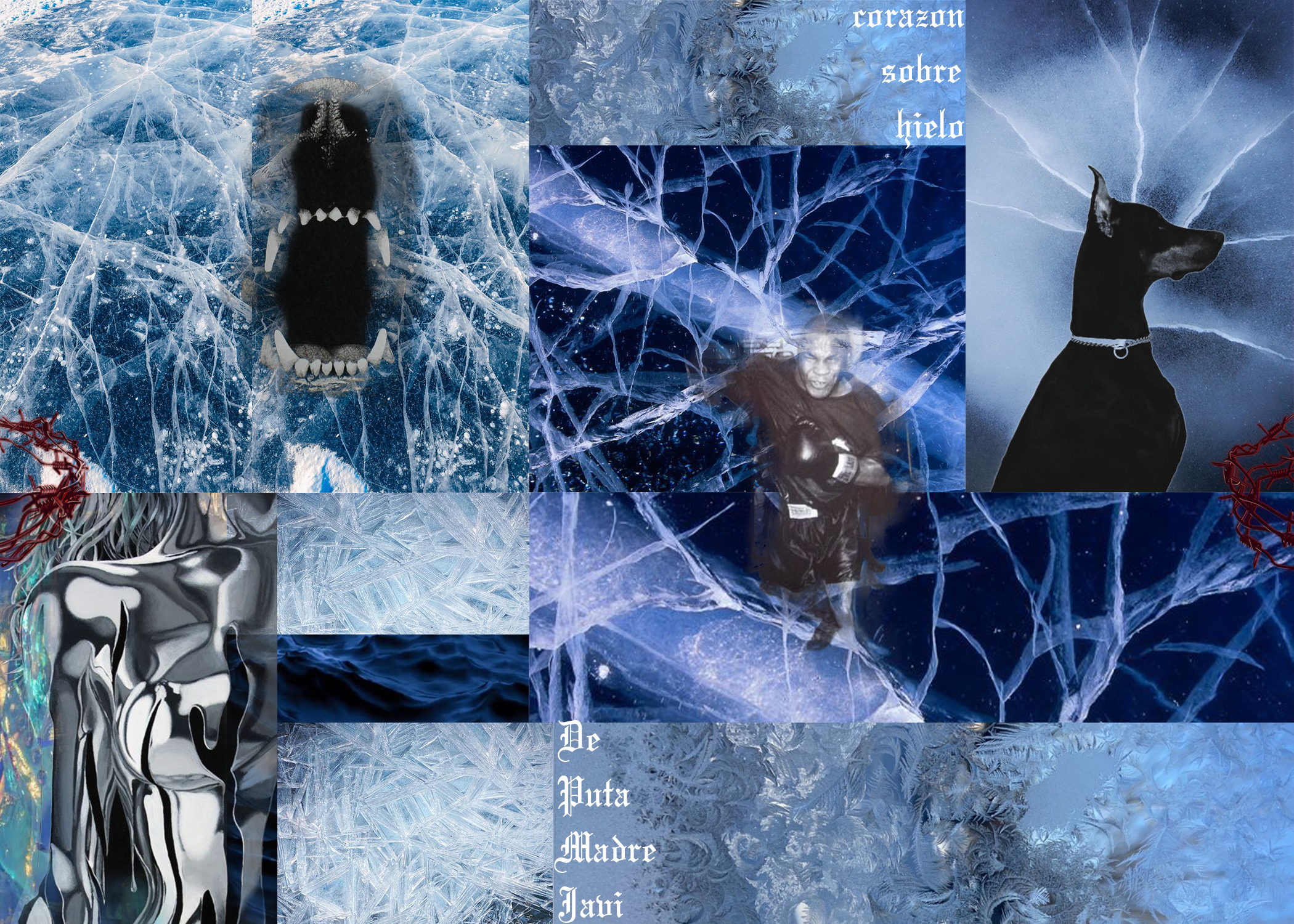 ice doge-Recovered.png