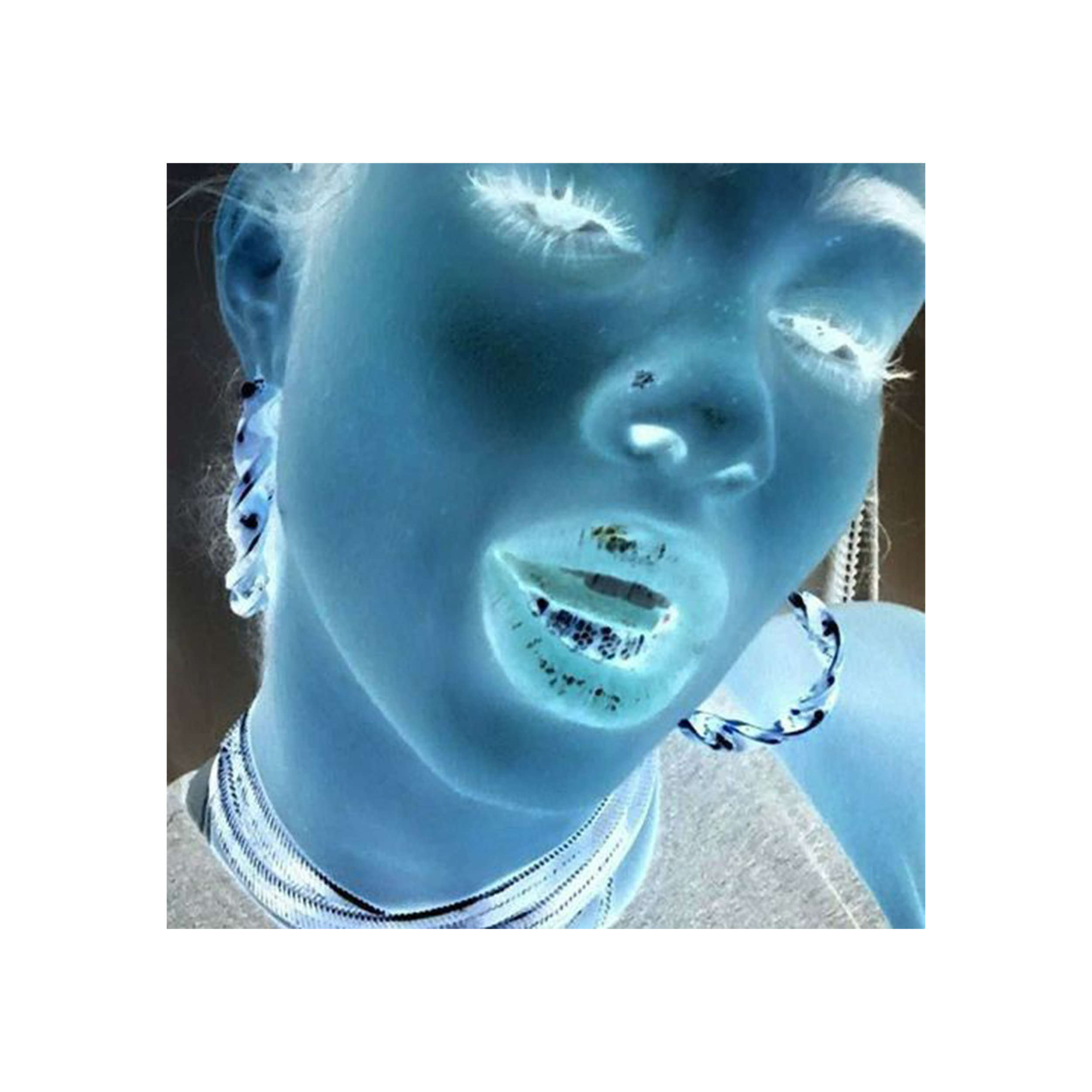 sawdust mix.png