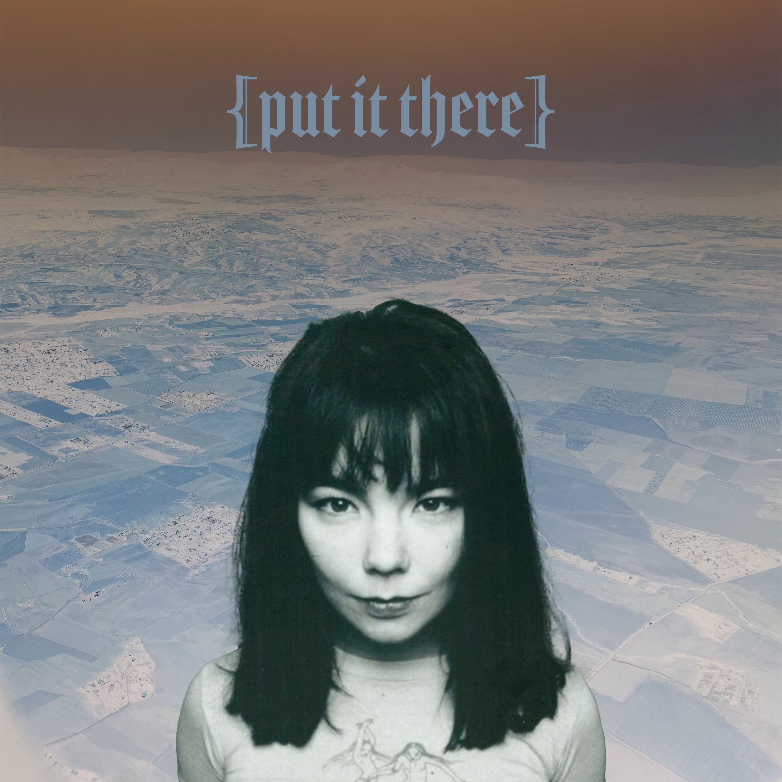 PUT IT THERE COVER.jpg