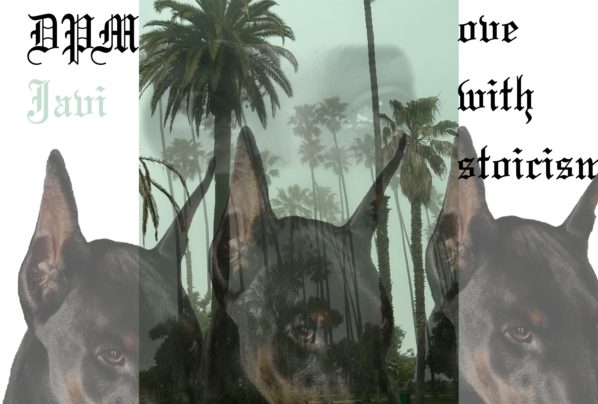 DPMOVE WIT SOTICISM.png