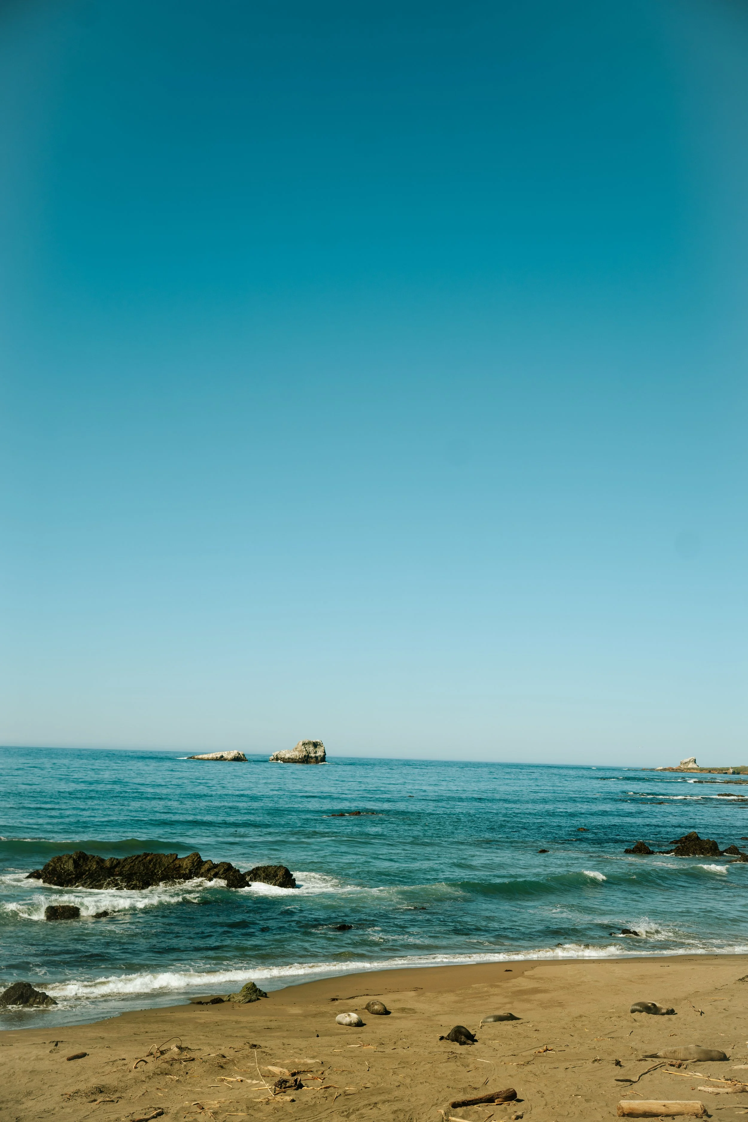 DSC09311.jpeg
