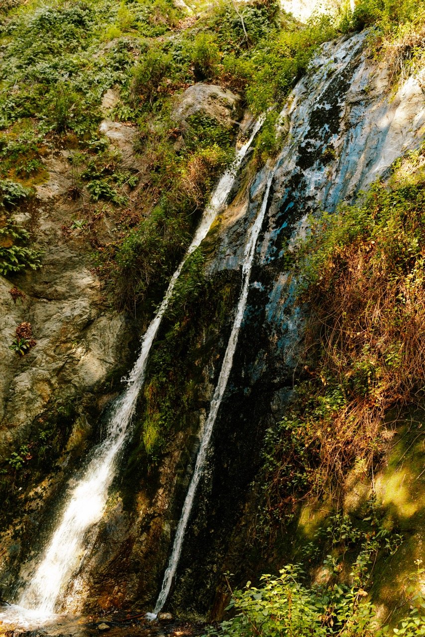 DSC09359 Large.jpeg