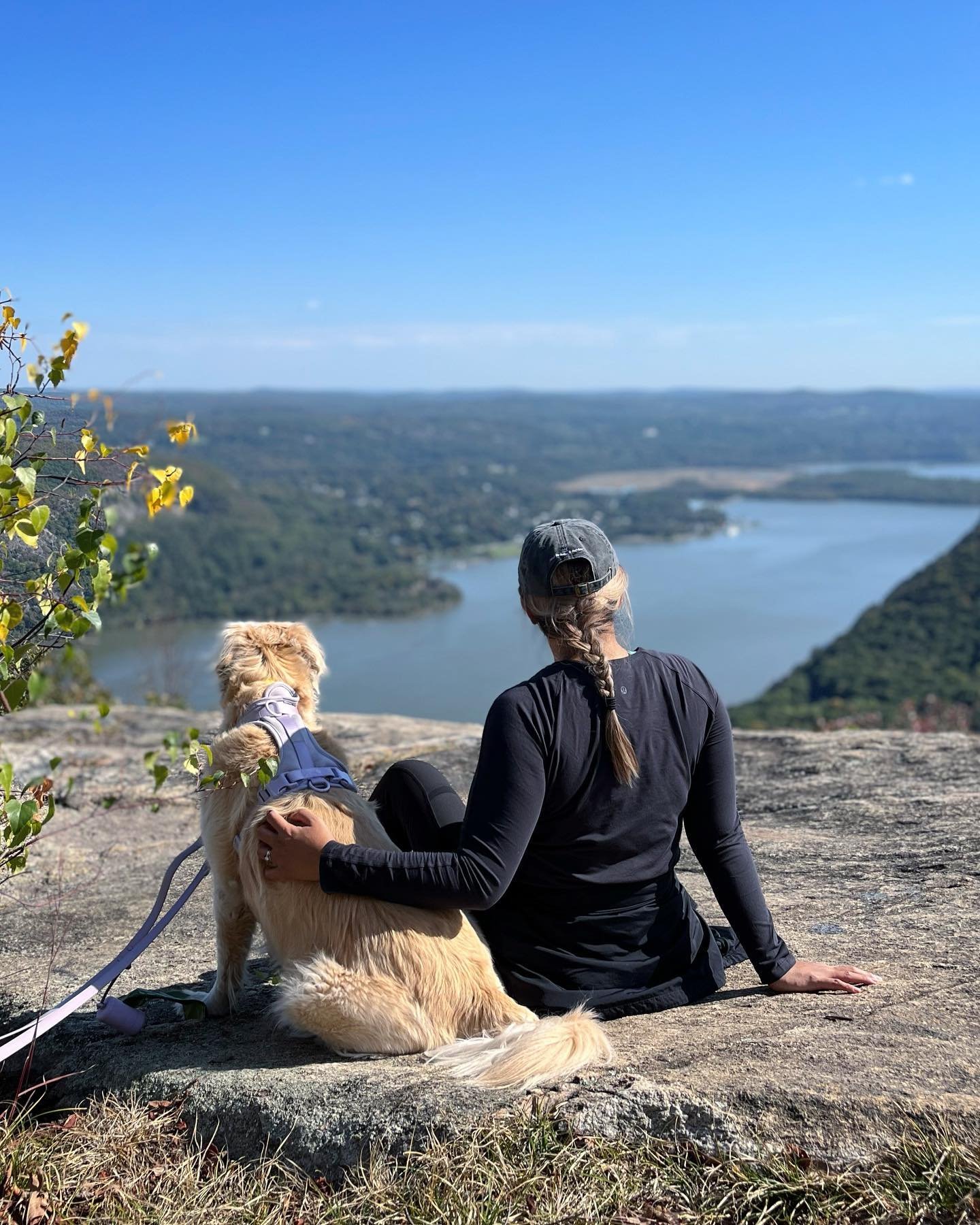 We got out of the city today! The weather was perfect for this lovely fall hike. 🍁🍂🥾🐾