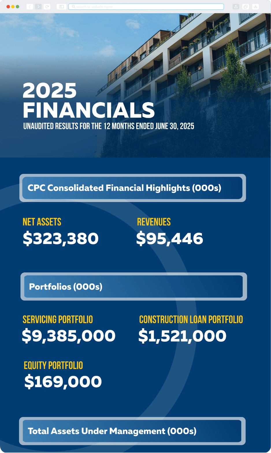 Desktop-Data Vis-Financials.png
